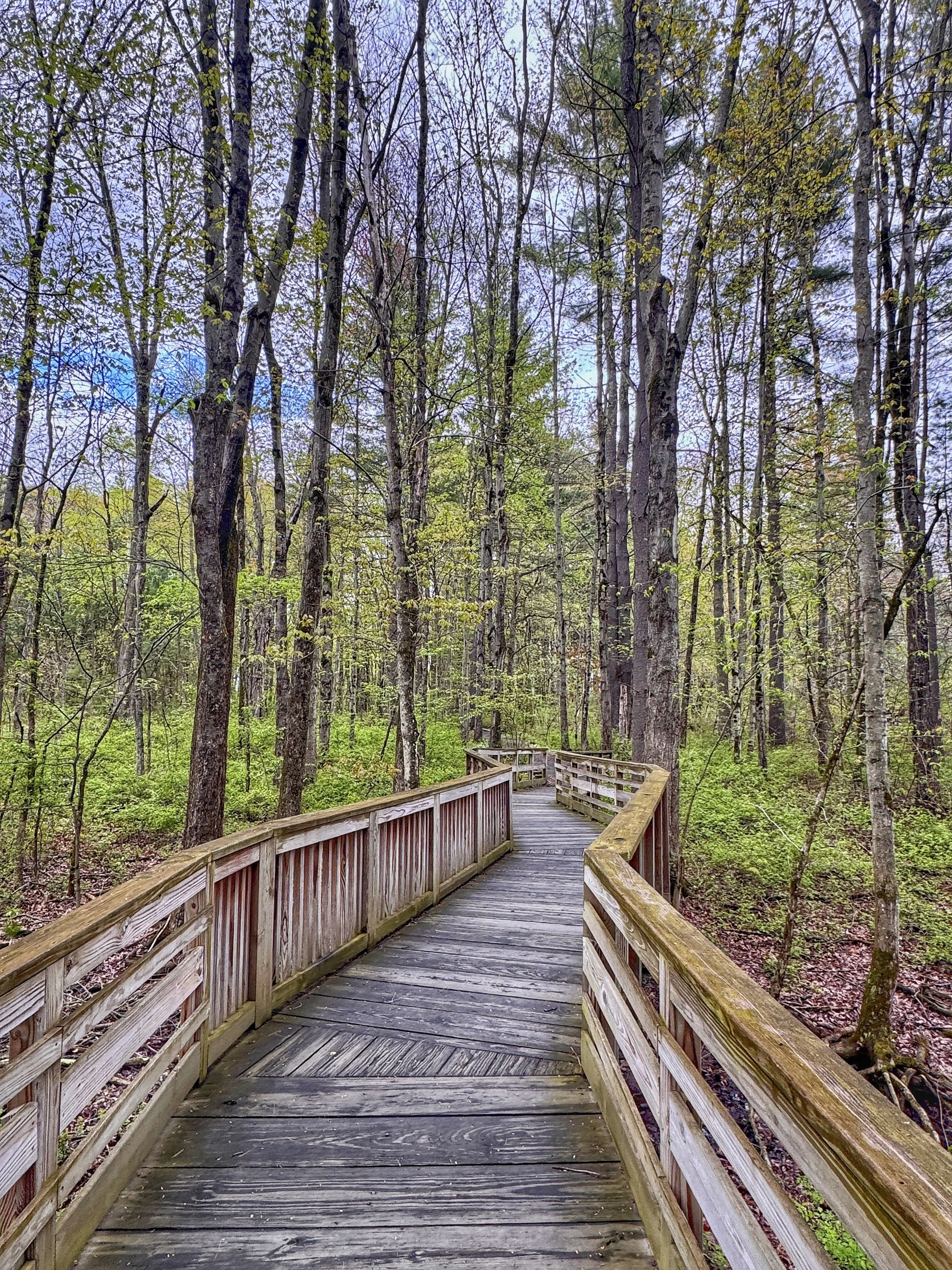 Fort River Accessible Trail Day Trip in Hadley, Massachusetts