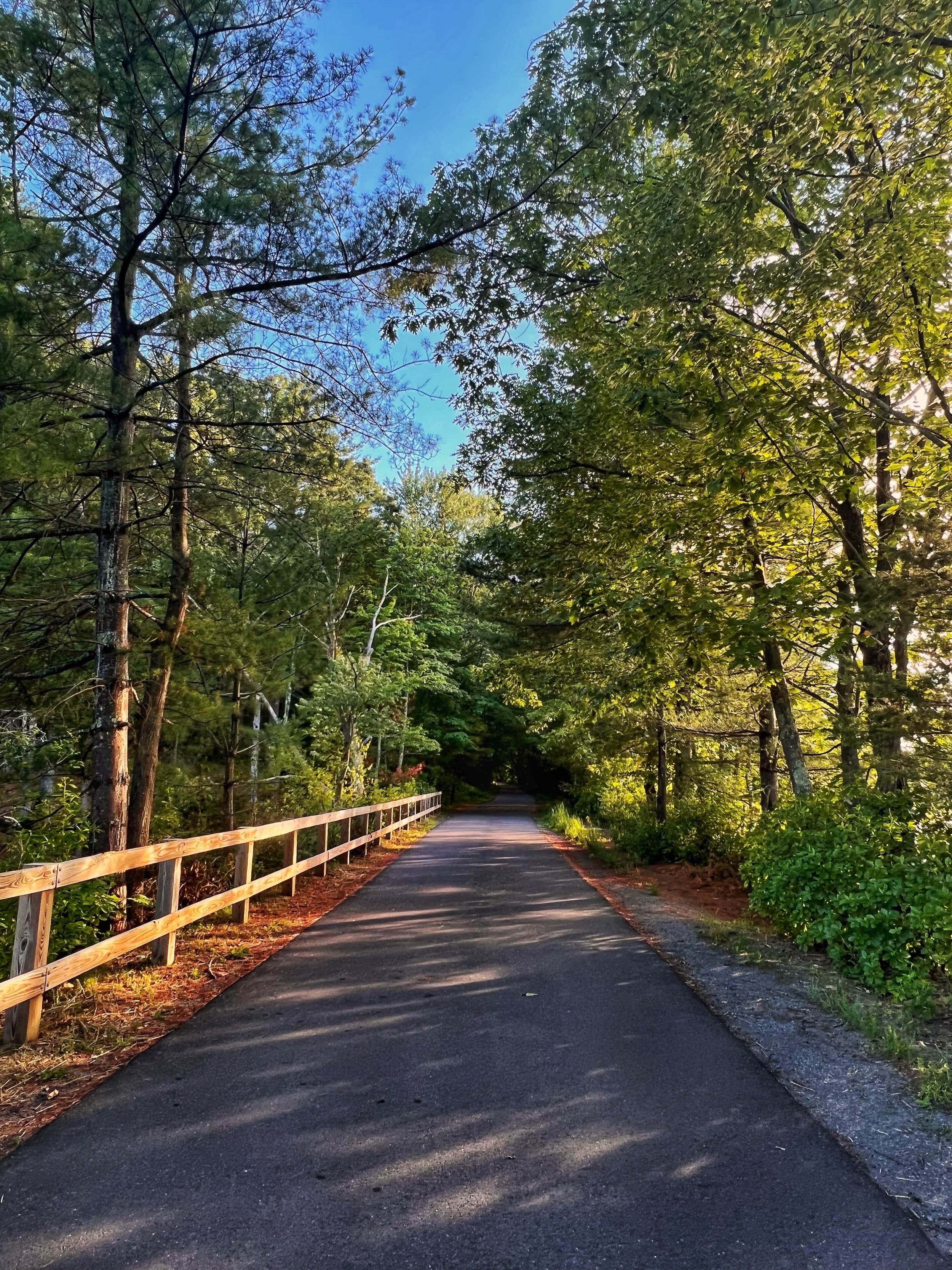 Maynard, MA has an overlooked access point for the Assabet River Rail Trail  and tasty craft beers — MassDayTripping - hiking, beers and fun attractions
