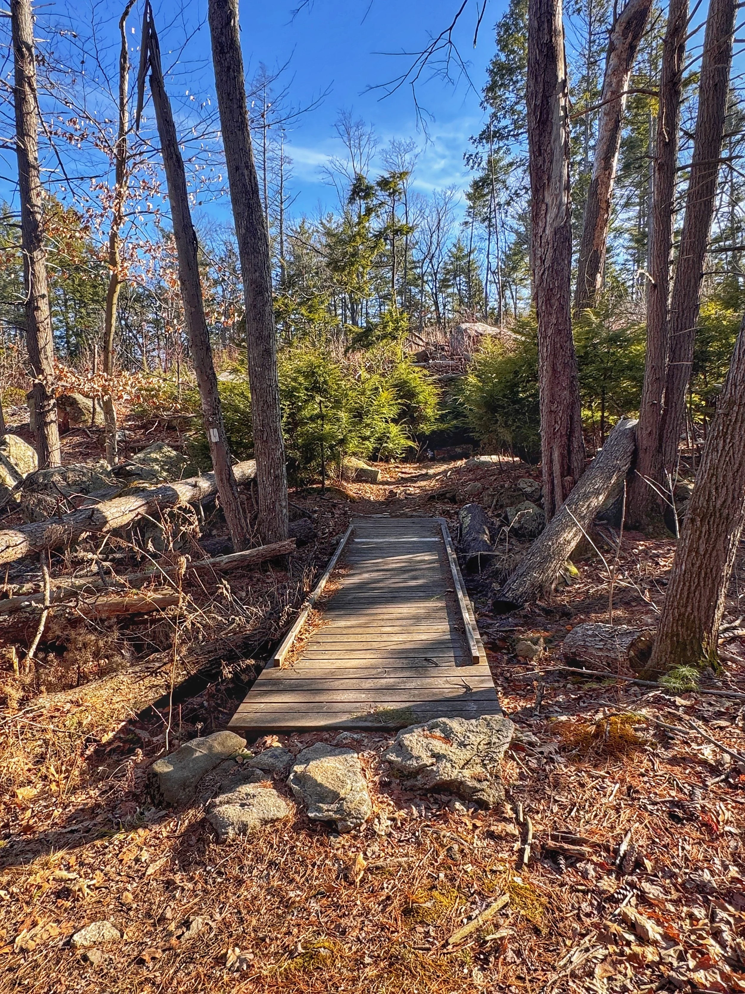 Footbridge along the Tucker Brook Town Forest trail