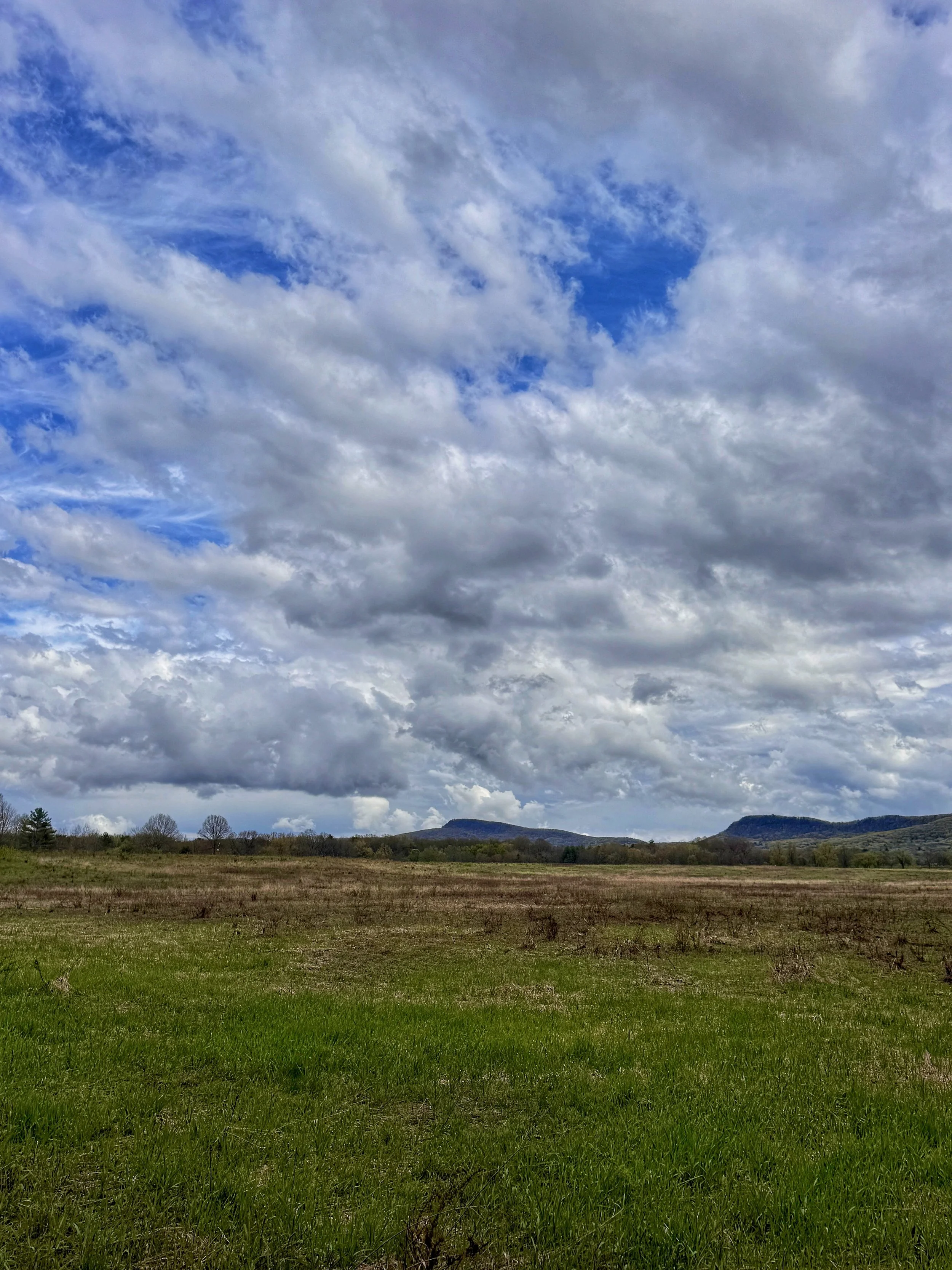 A view of a vibrant blue cloudsky over the Holyoke Range along the Firt River Trail in Hadley, Massachusetts