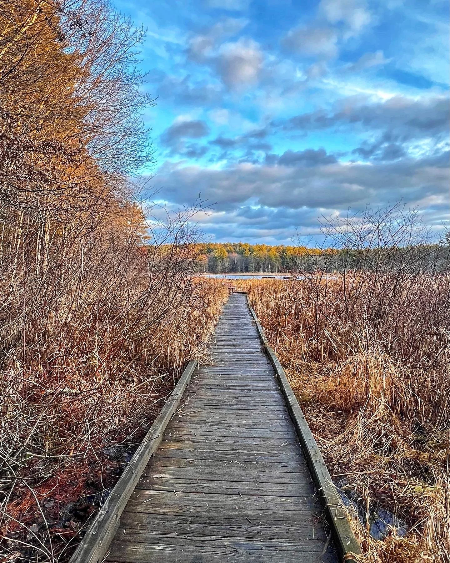 Fitzgerald Lake Conservation Area