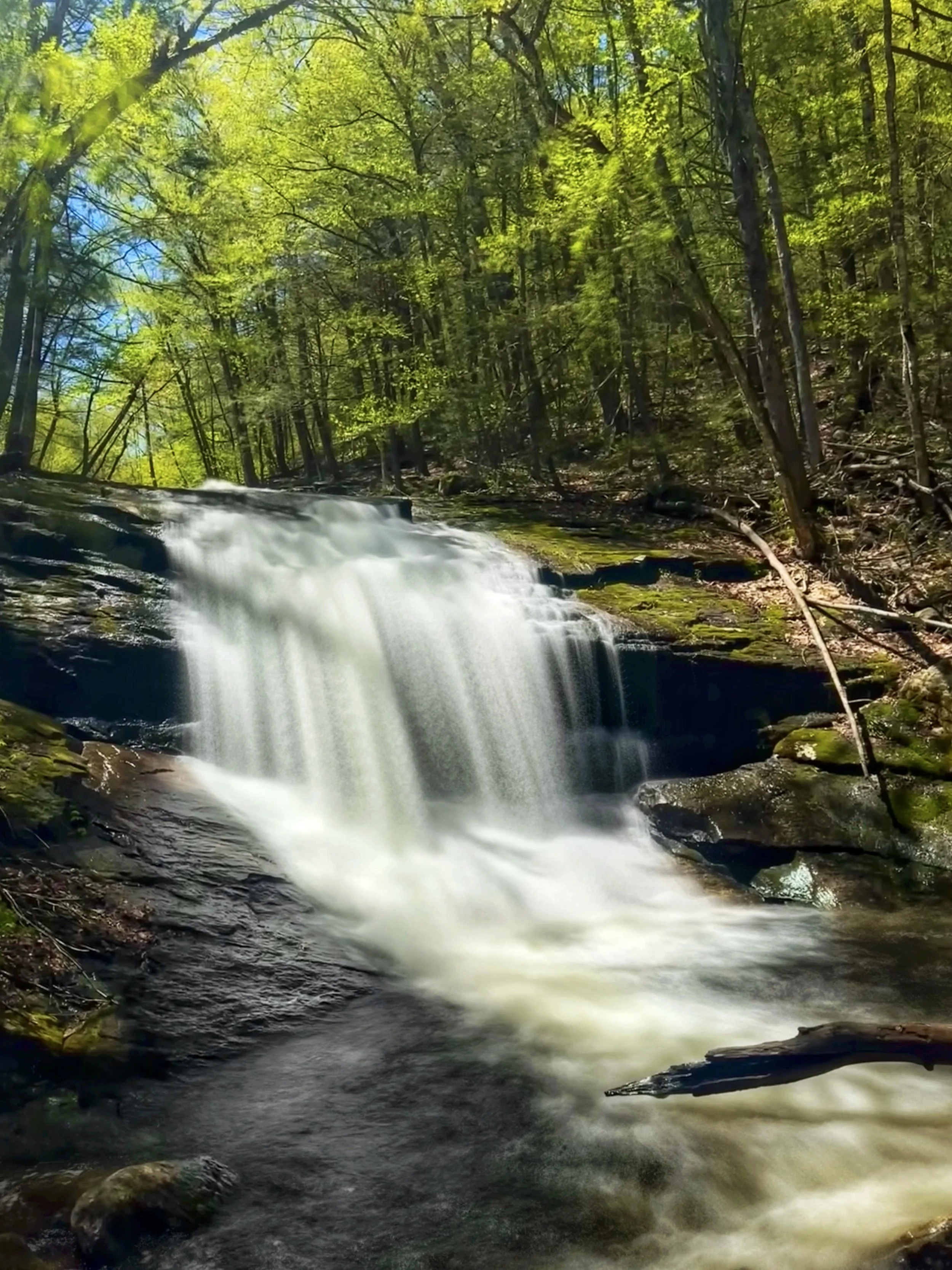 Chapel Brook Falls rushing down over a bedrock ledge through a lush spring forest in Ashfield, Massachusetts