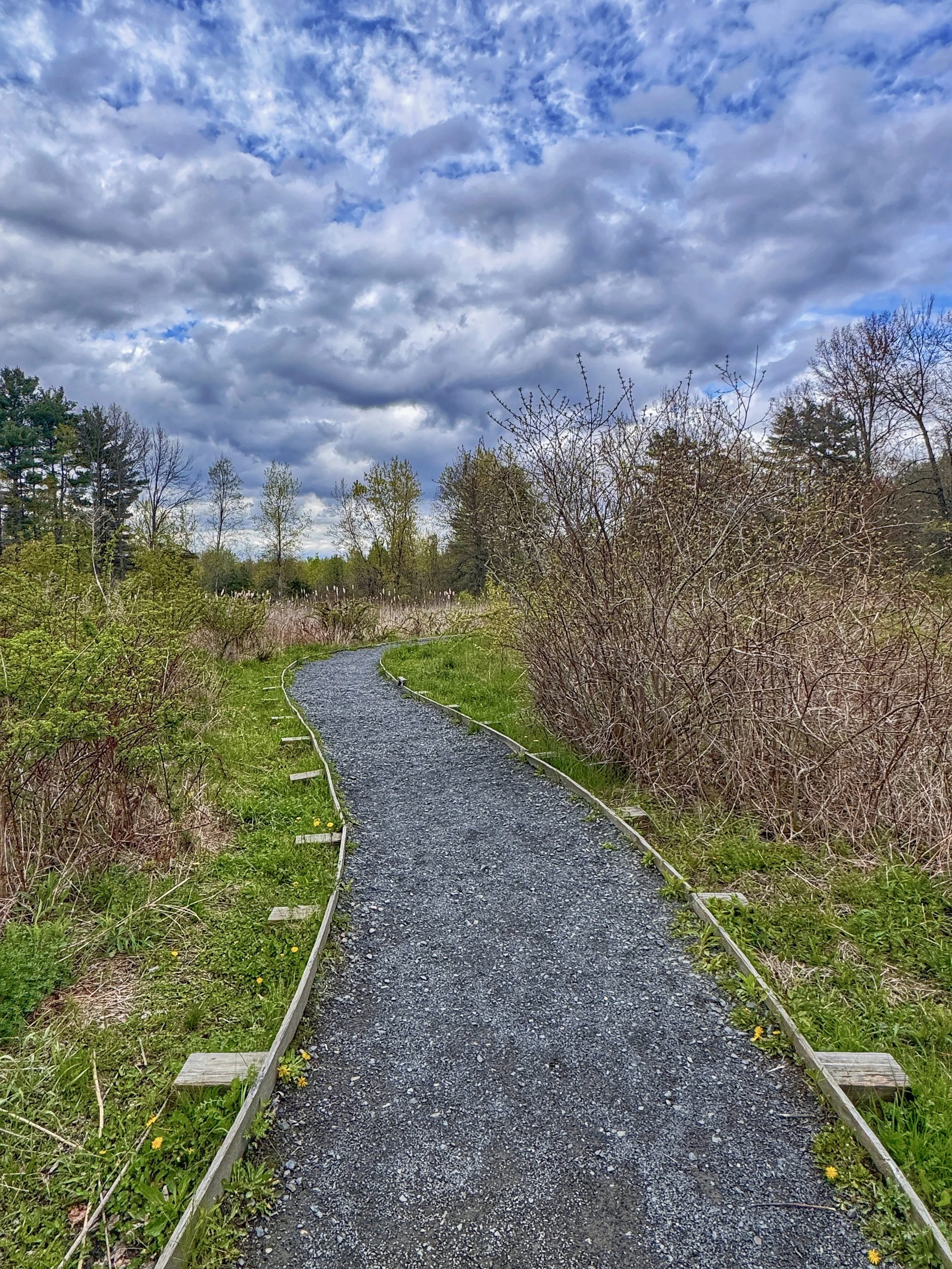 The Fort River trail entrance under a vibrant blue sky n Hadley, Massachusetts
