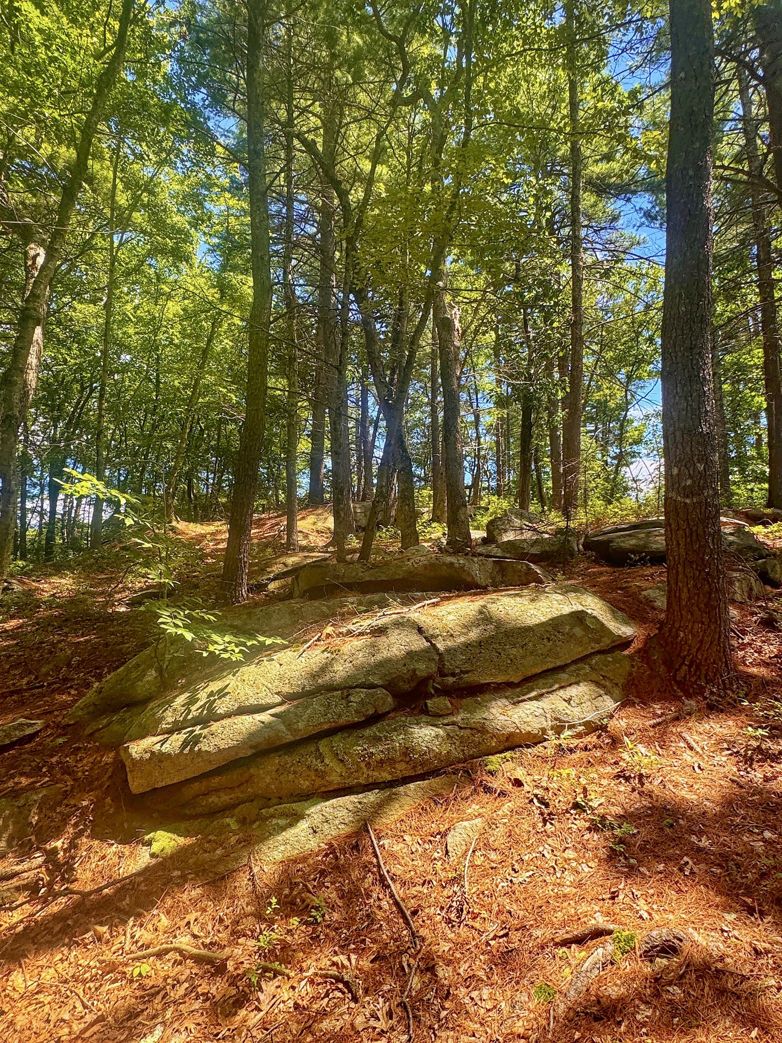 Granite rock outcropping on the Shining Rock Trail in Northbridge, Massachusetts
