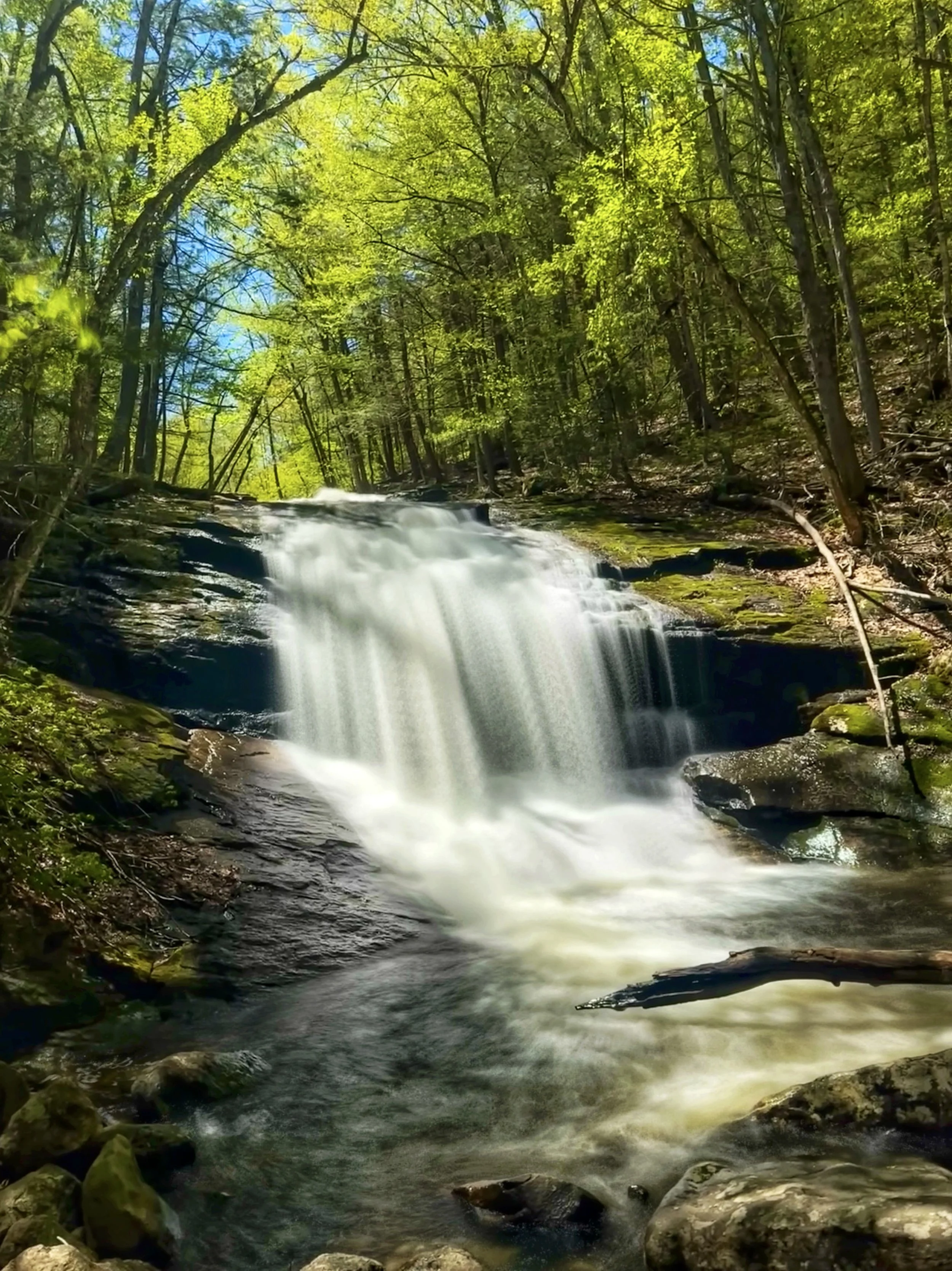 The third of three Chape Brook Falls cascades plunging donw over bedrock ledge under a dense forest in Ashfield, Massachusetts
