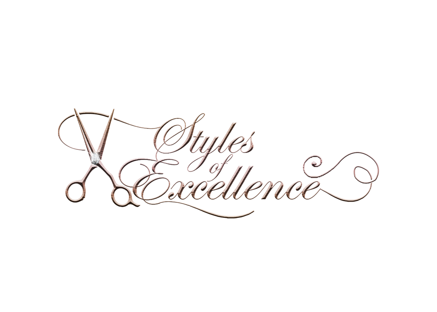STYLESOFEXCELLENCE
