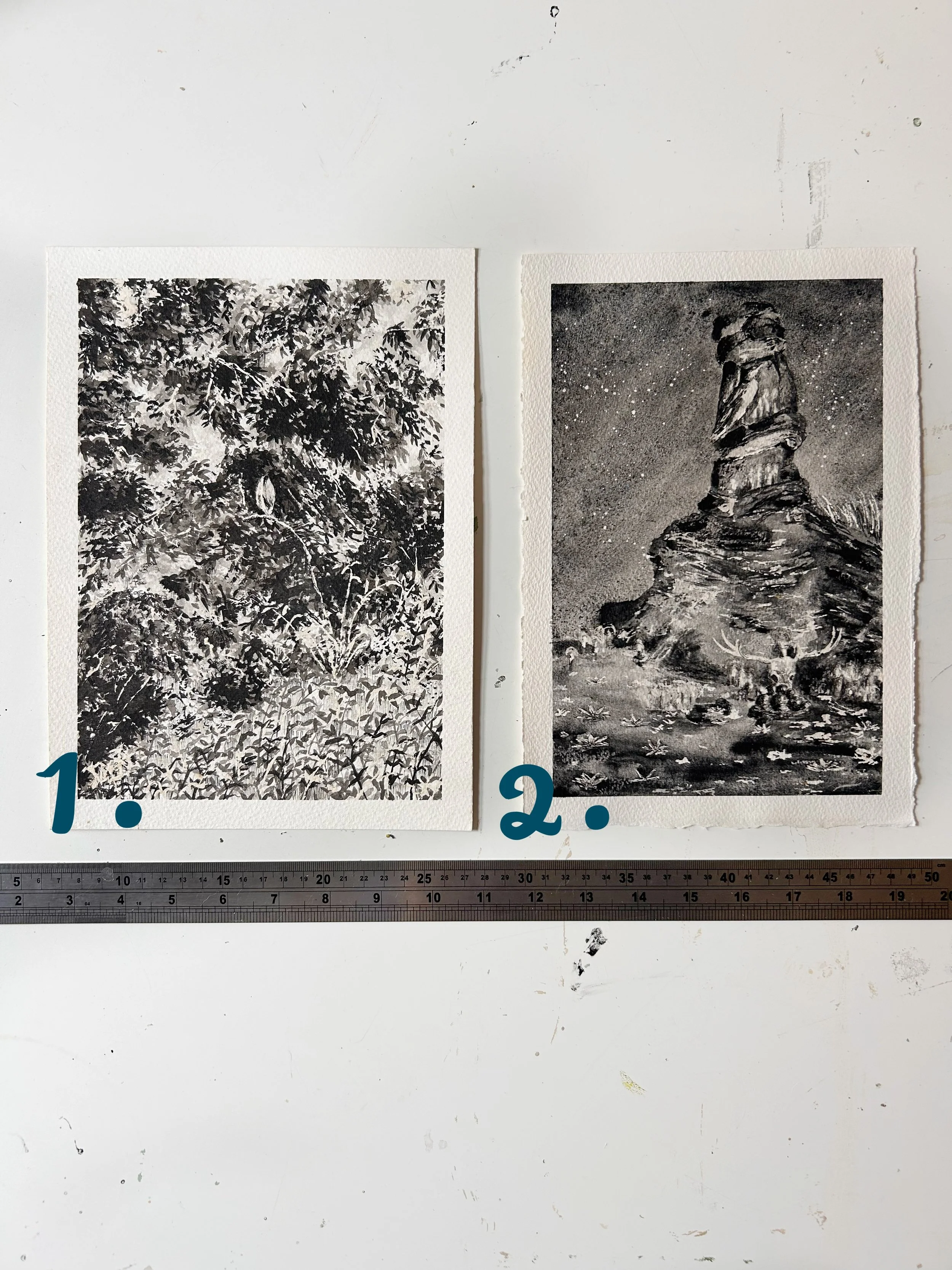 Medium Paintings