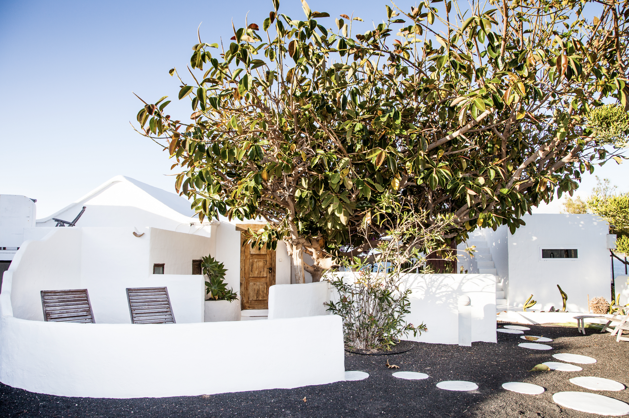 Suite Feu, terrace et jardin sous le Ficus