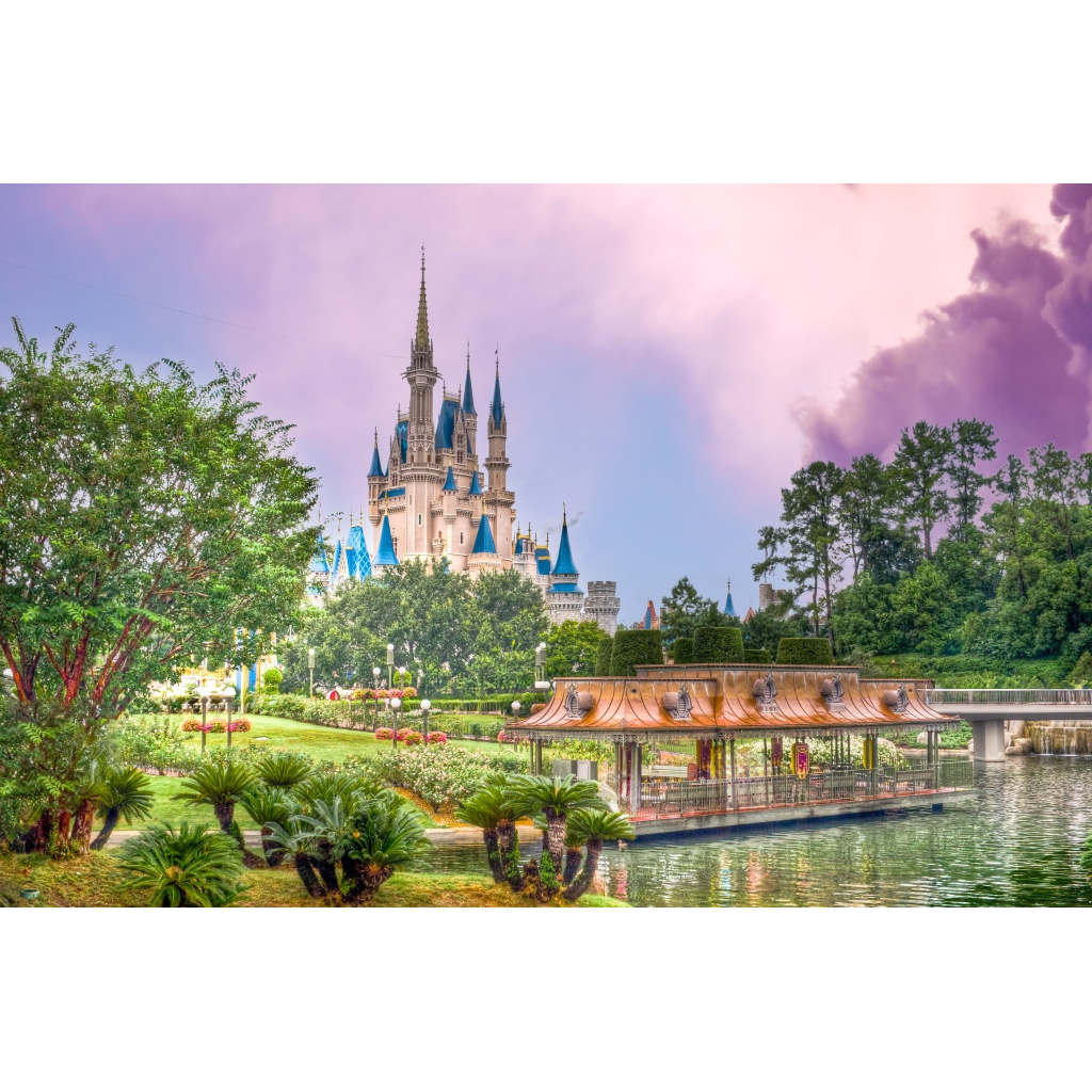 disney-world-photo