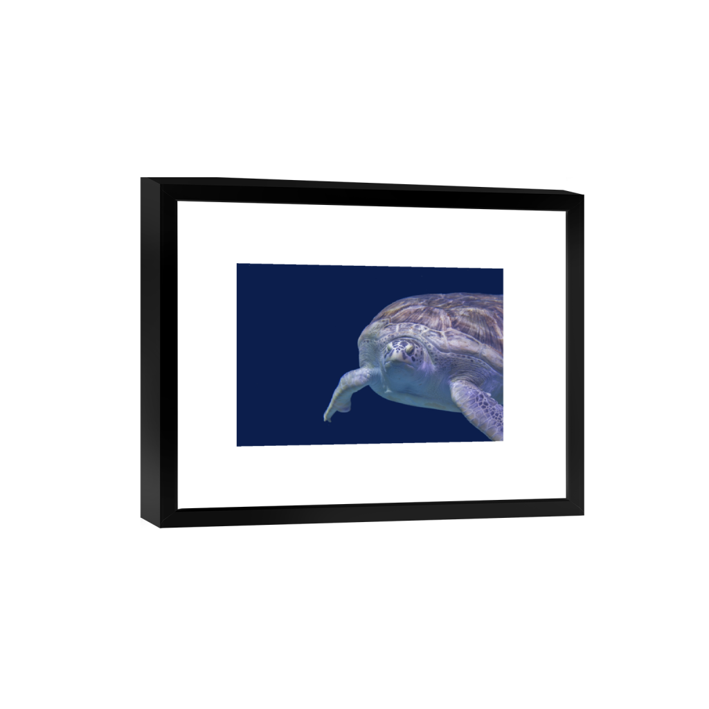 ptq_45_3_0_0_6000_4000_0_false_ffffff_0_0_.png