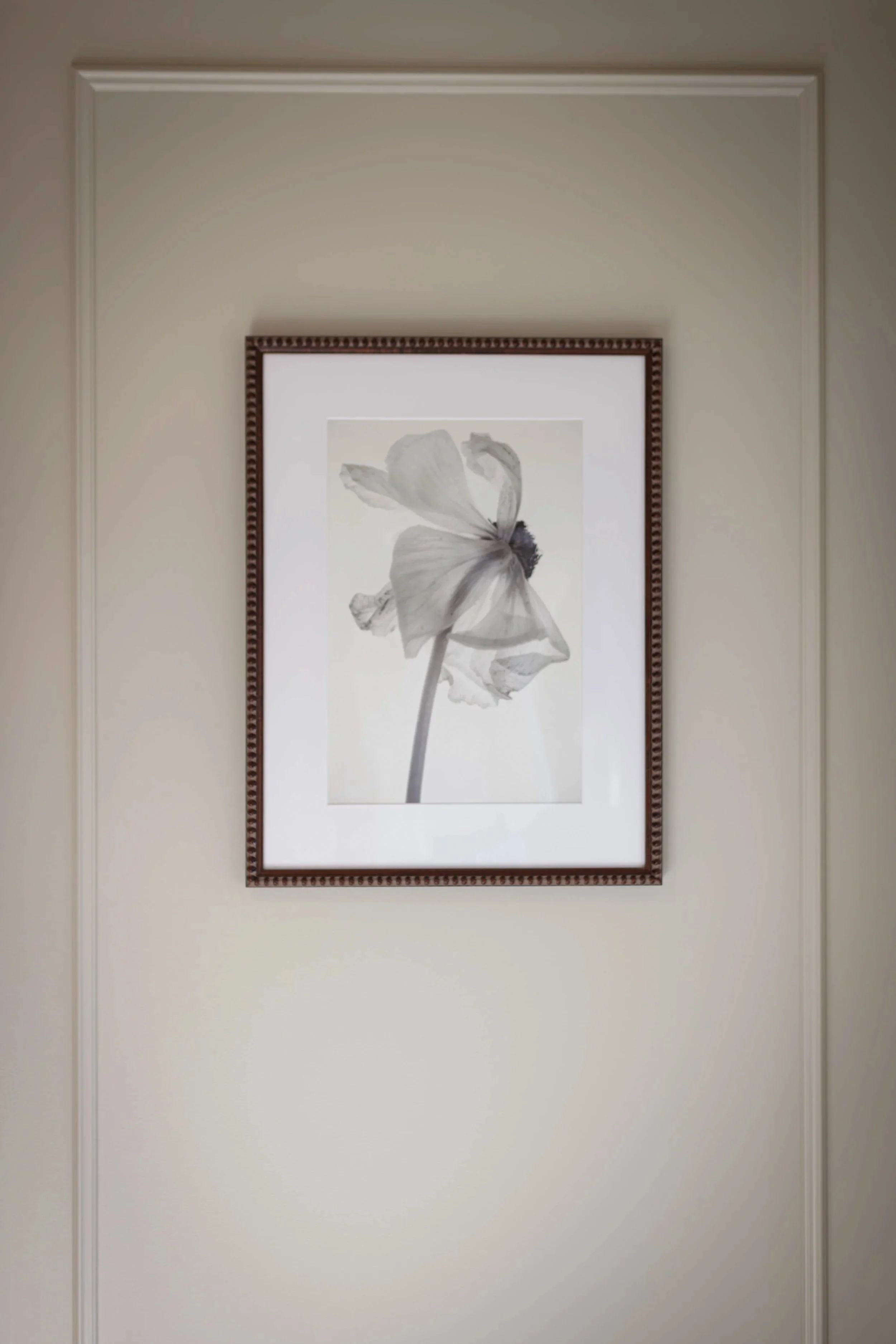 MeadowSprings-027.jpg