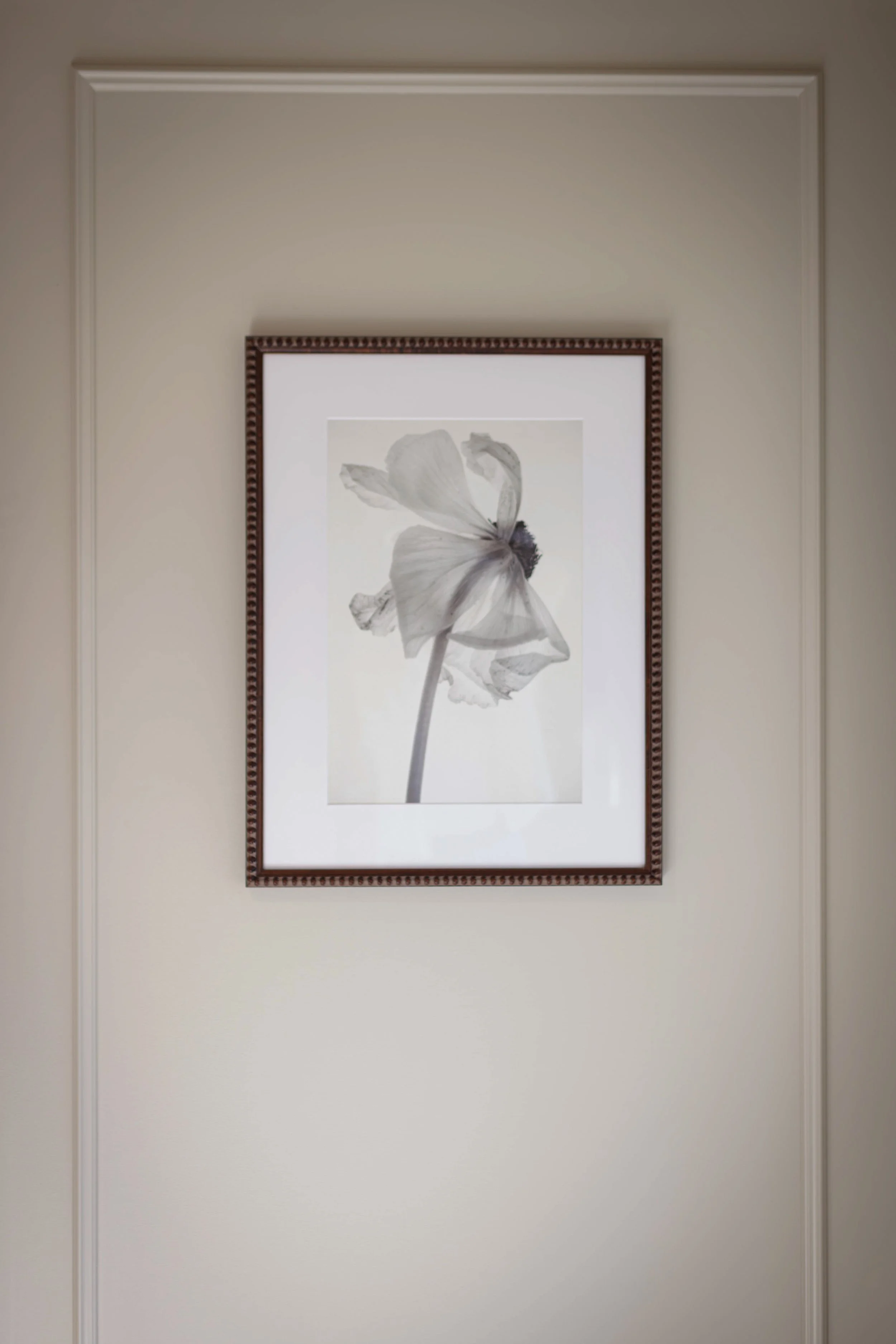 MeadowSprings-027.jpg