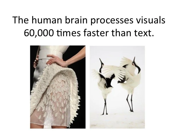 Slide02.jpeg