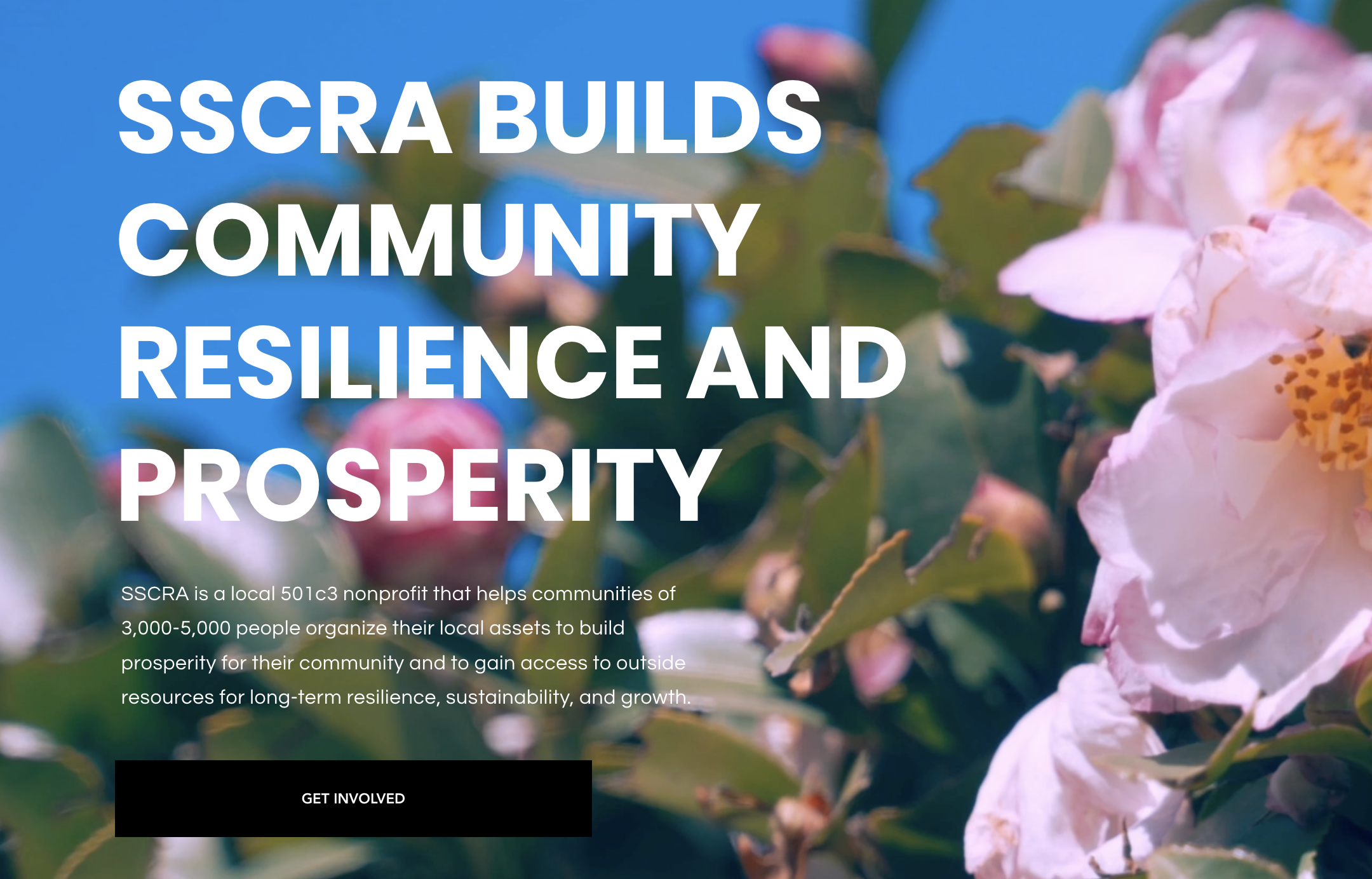 SSCRA — Content Strategy, Copywriting & Website for a Wildfire Resilience Nonprofit