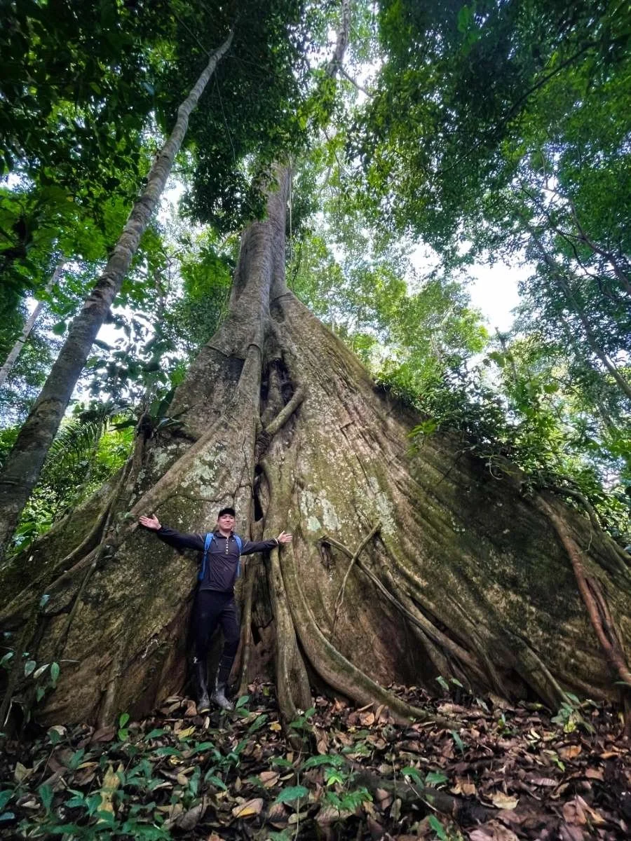 1-retreat-guest-with-lupuna-tree.jpg