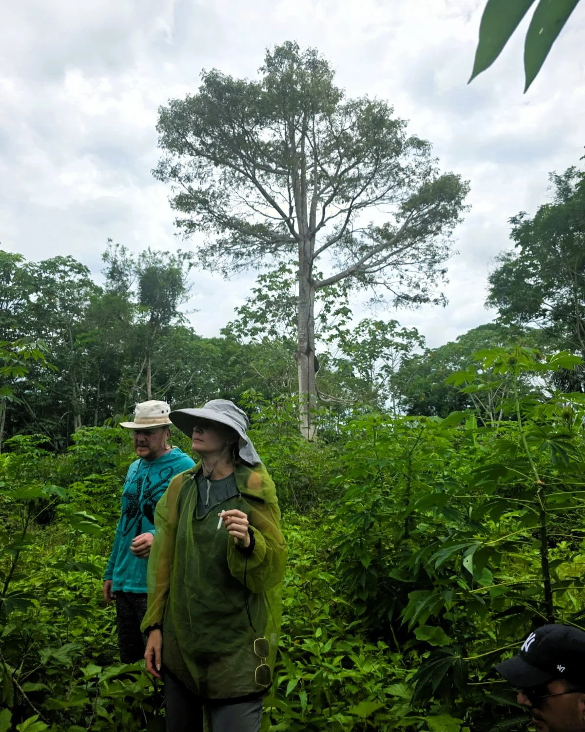 Joy is found in small things.

Indeed, meaning tends propagate from these little seeds.

Simple, profound connections.

The wisdom in a flower, the truth in a smile.

🌿🫶💜😊
.
.
.
#plantmedicine #ayahuascaretreat #casadelmaestro #ayahuasca #plantdi