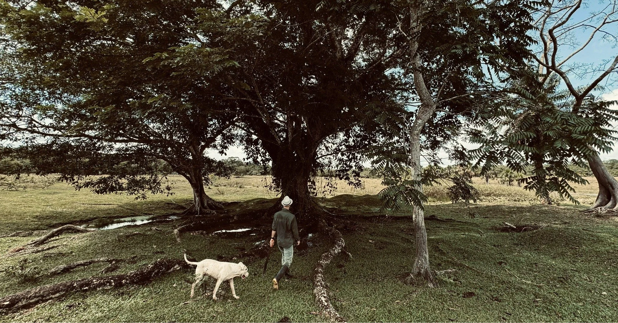 Soul medicine, soul family 🌳

&ldquo;Beautiful things don&rsquo;t ask for attention.&rdquo;
&mdash; James Thurber
.
.
.
#plantmedicine #ayahuascaretreat #casadelmaestro #ayahuasca #medicinefamily #naturemedicine #natureismedicine #lovenature #amazon