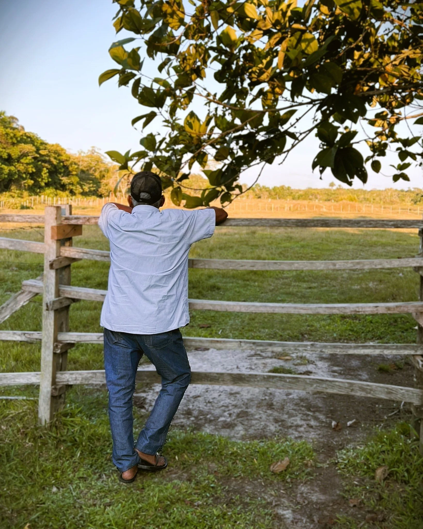 Don Alberto, looking over his land 🌳🙏
.
.
.
 #maestrodonalberto #ayahuasca #ayahuascaretreat #casadelmaestro #palero #plantmedicineretreat #plantmedicineperu #ayahuasquero #teacherplants #amazonianplantmedicine #healingretreat #ayahuascaretreats #m