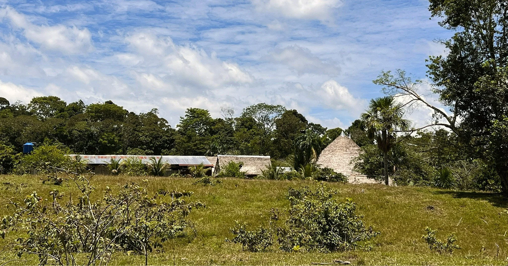 La Casa 🏡🌳✨
From the ground, from the sky.

&ldquo;There are a thousand ways to kneel and kiss the ground; there are a thousand ways to go home again.&rdquo;

&mdash; Rumi
.
.
.
 #casadelmaestro #ayahuascaretreat #maestrodonalberto #plantmedicine #