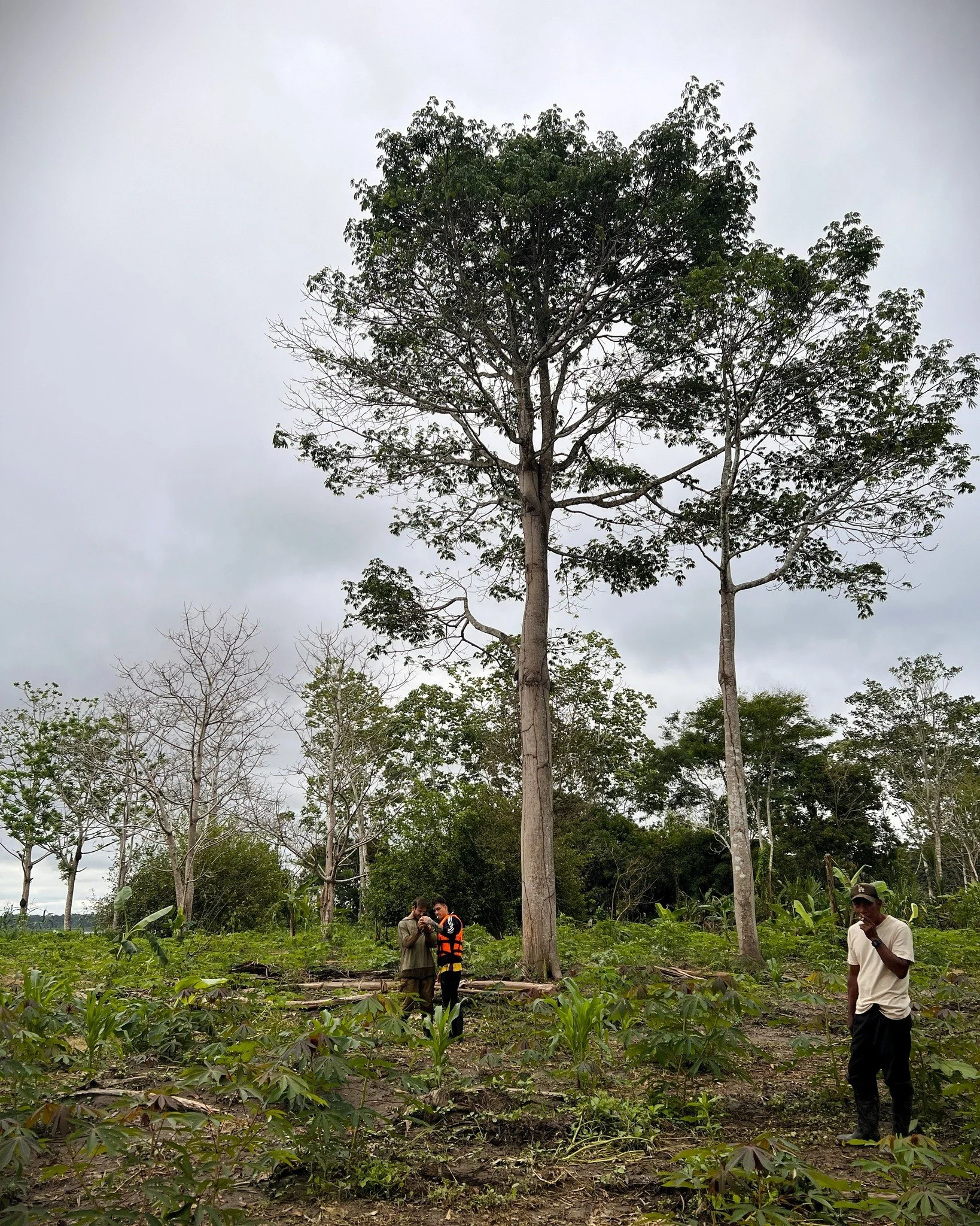 A consistent, healthy relationship with nature is a foundational aspect of plant medicine work and its teaching. Relating to the natural world is among the most beneficial things you can do for your health and well-being:

🌿Calms the nervous system
