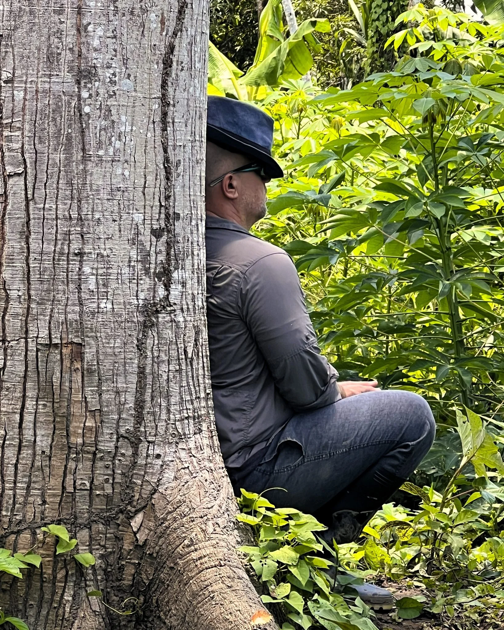 &ldquo;Muddy water, let stand, becomes clear.&rdquo;

― Lao Tzu

&ldquo;The only Zen you find on the tops of mountains is the Zen you bring up there.&rdquo;

― Robert M. Pirsig
.
.
.
#casadelmaestro #ayahuascaretreat #plantmedicine #ayahuasca #uchusa