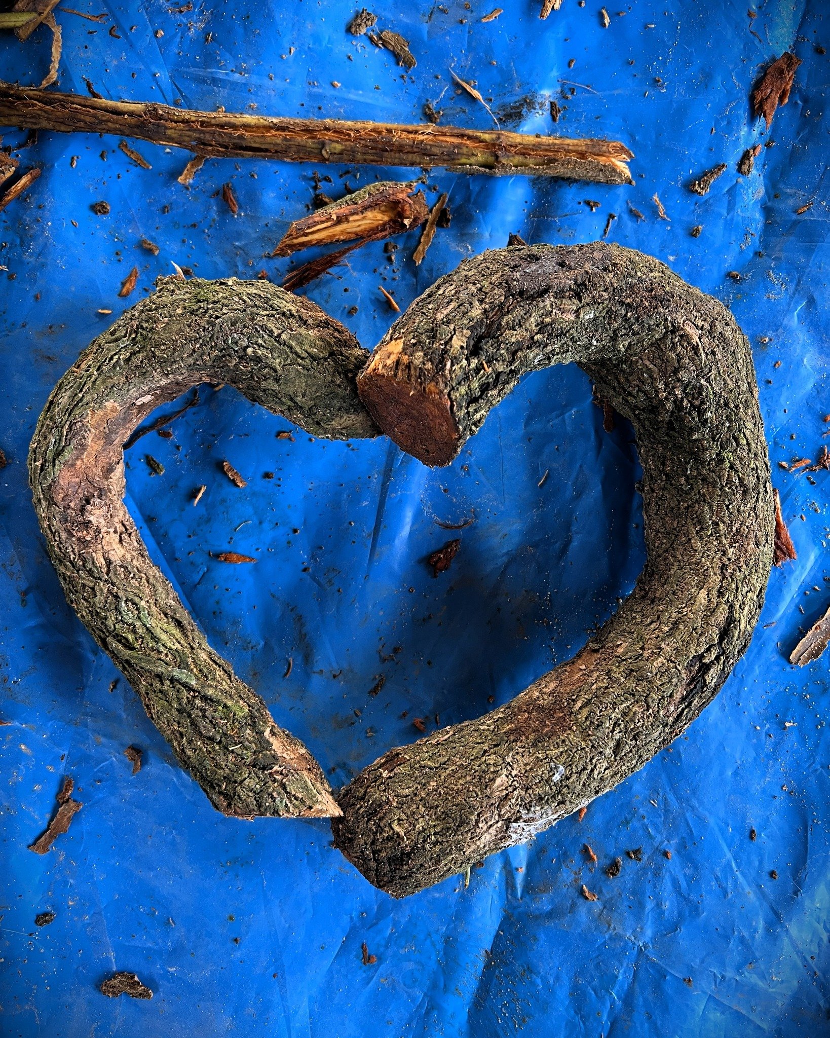 💙 The outpouring of love from our Casa community this year, these last couple weeks, and over these last few days has been an overflow of abundance!

💜 Such a fortune it is to offer this work, from the heart, and see it flourish in all of your hear