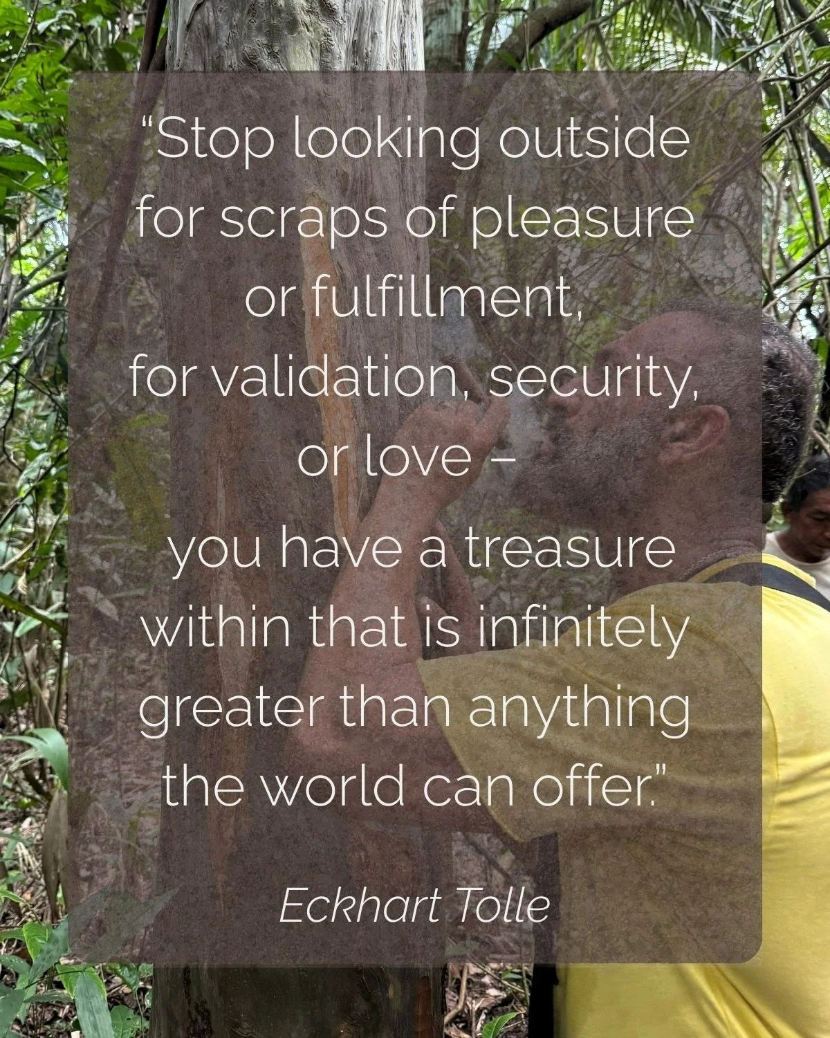 "Stop looking outside for scraps of pleasure or fulfillment, for validation, security, or love &ndash; you have a treasure within that is infinitely greater than anything the world can offer."

Eckhart Tolle

And that treasure is what we se