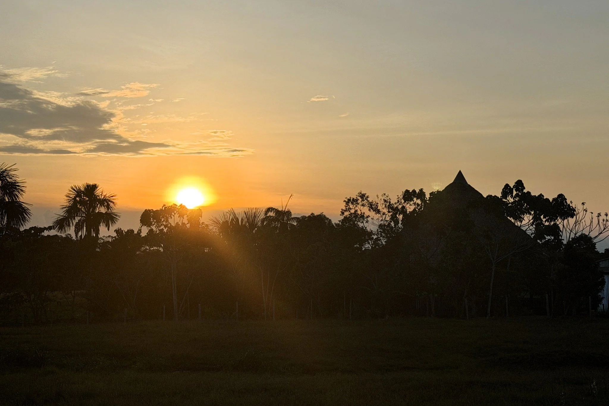 Glimpses of life at @casadelmaestromedicina 🙏✨❤

Thanks for sharing these, Kevin!
.
.
.
#ayahuasca #ayahuascaretreat #maestrodonalberto #casadelmaestro #plantmedicine #plantdietas #plantdieta #ayahuascaperu #plantmedicineperu #teacherplant #healing 