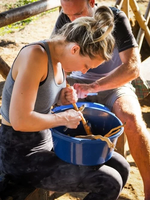 A young female ayahuasca retreat guest scrape uchu sanango roots into a blue bucket at Casa del Maestro plant medicine center in Peru.