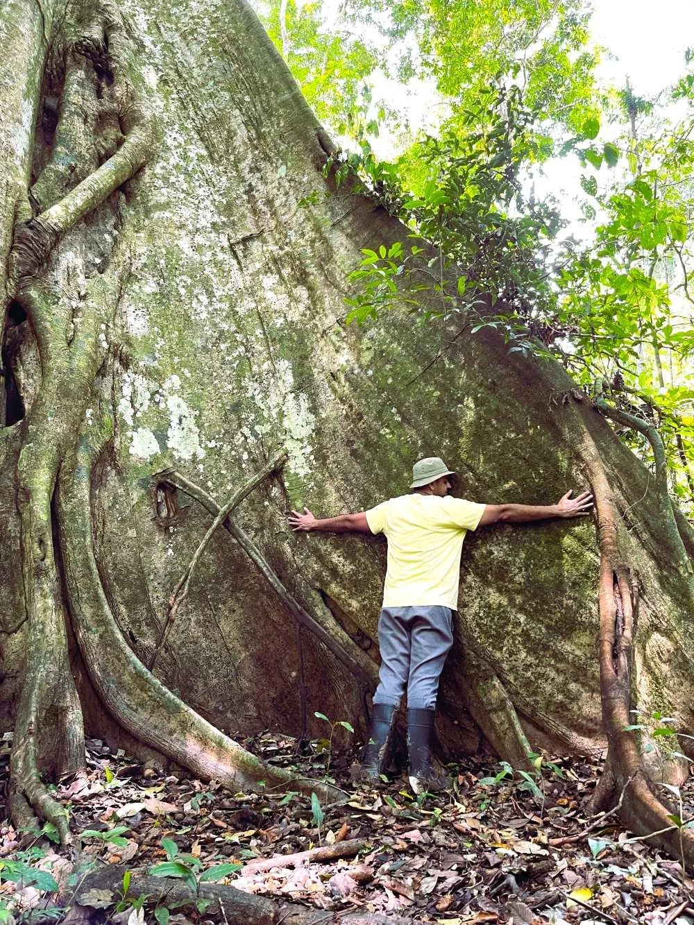 Casa del Maestro retreat guest hugging a Lupuna tree.
