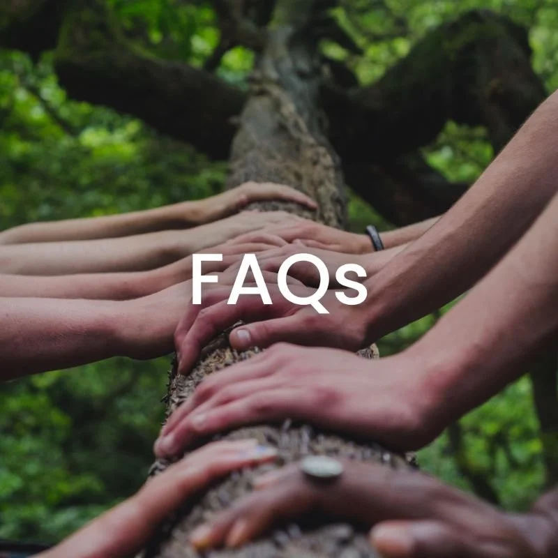 Hands touching a tree trunk with "FAQs" text overlay in a green forest setting.