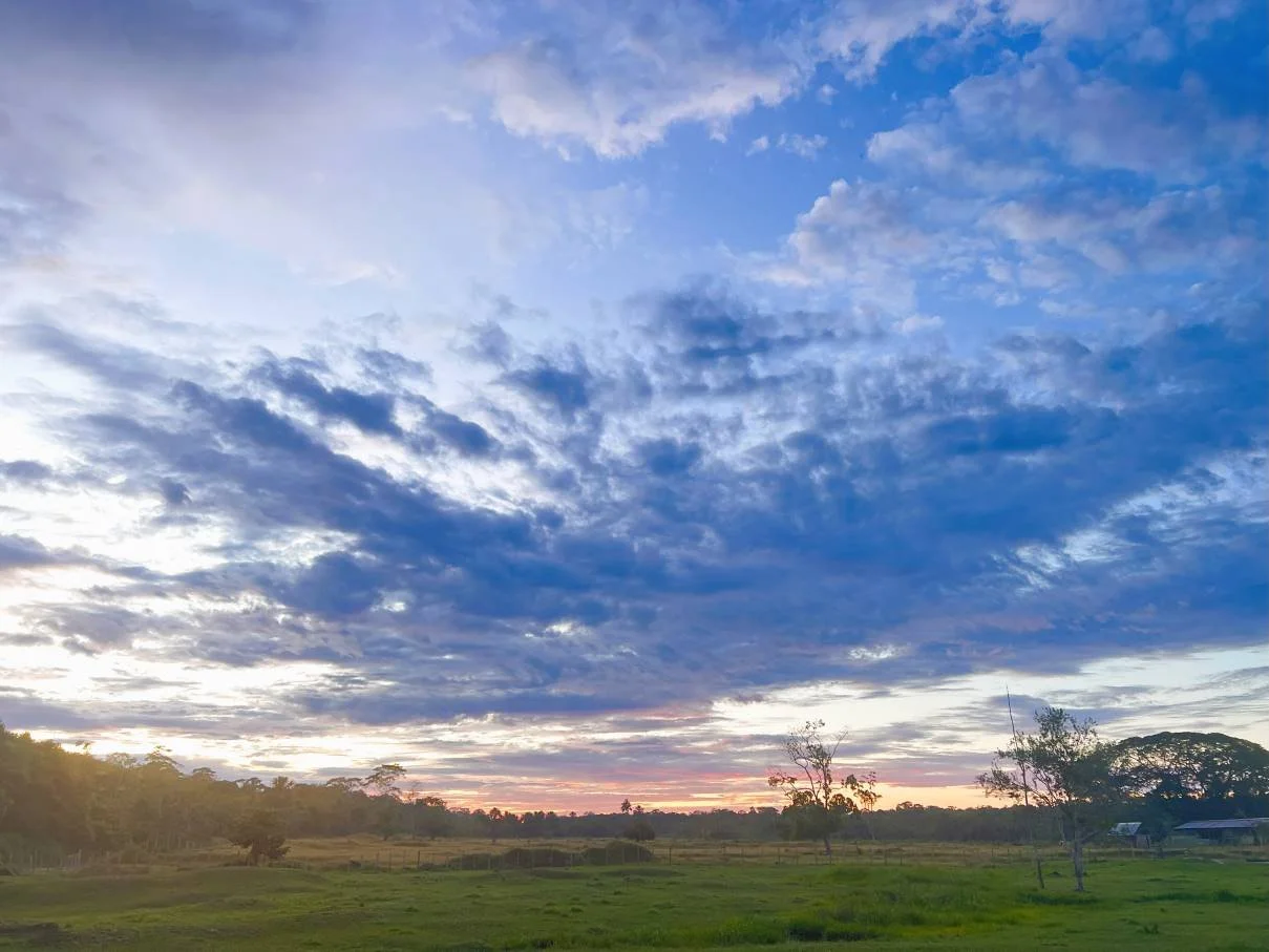 A rural landscape at sunset with a partly cloudy sky, green grassy fields, and scattered trees.