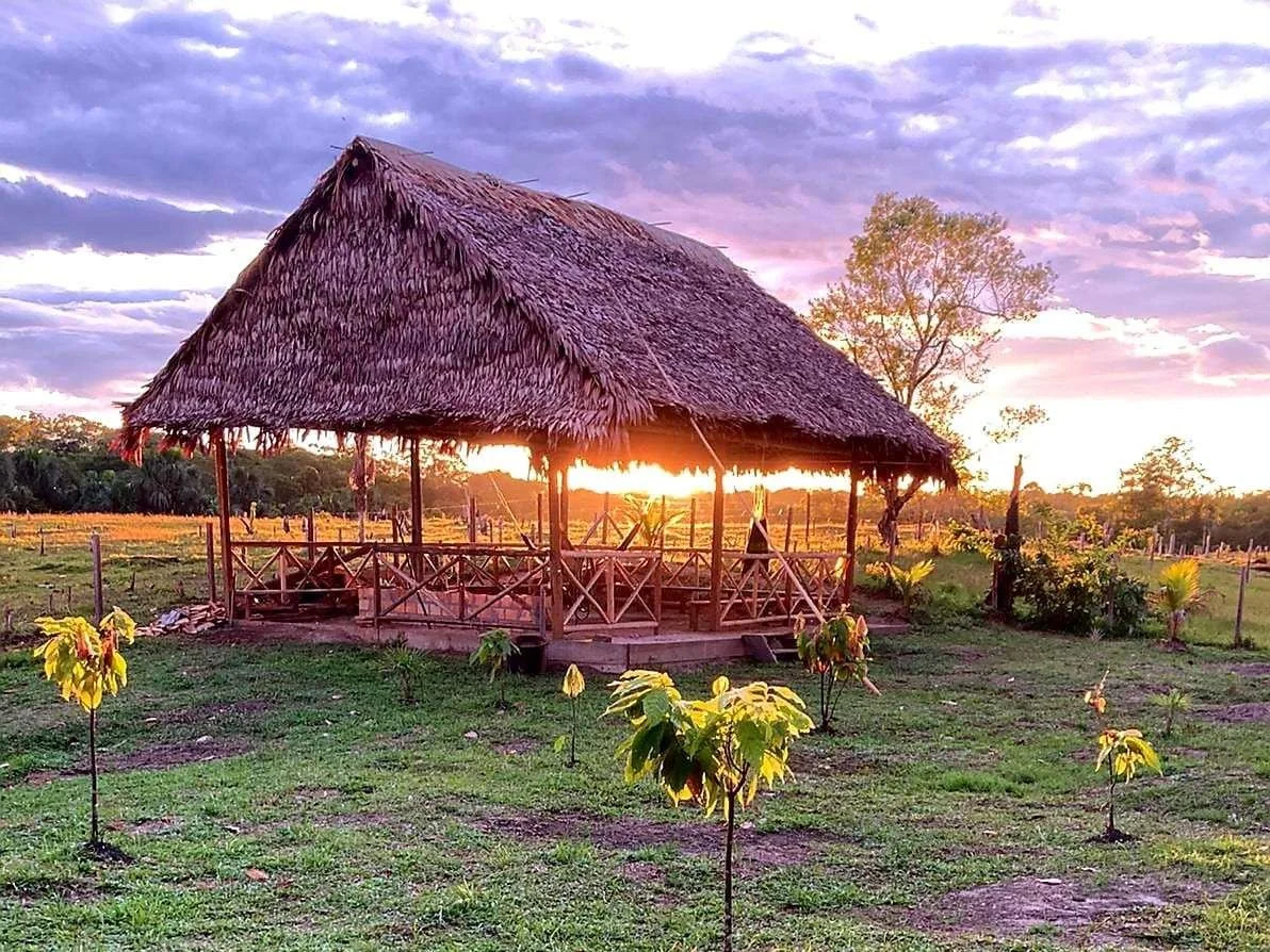 1-ayahuasca-retreat-center-cookhouse-peru.jpg