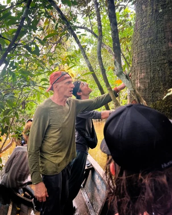 1-guests-blessing-tree-ayahuasca-writers-retreat.jpg