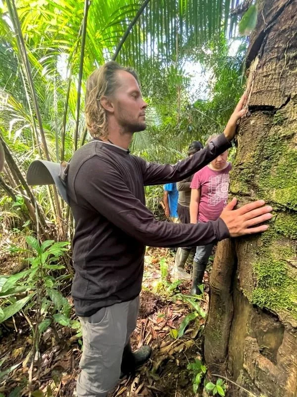 A man is standing in a dense jungle, holding onto a large tamamuri tree trunk with both hands and eyes closed, during a plant dieta in Peru.