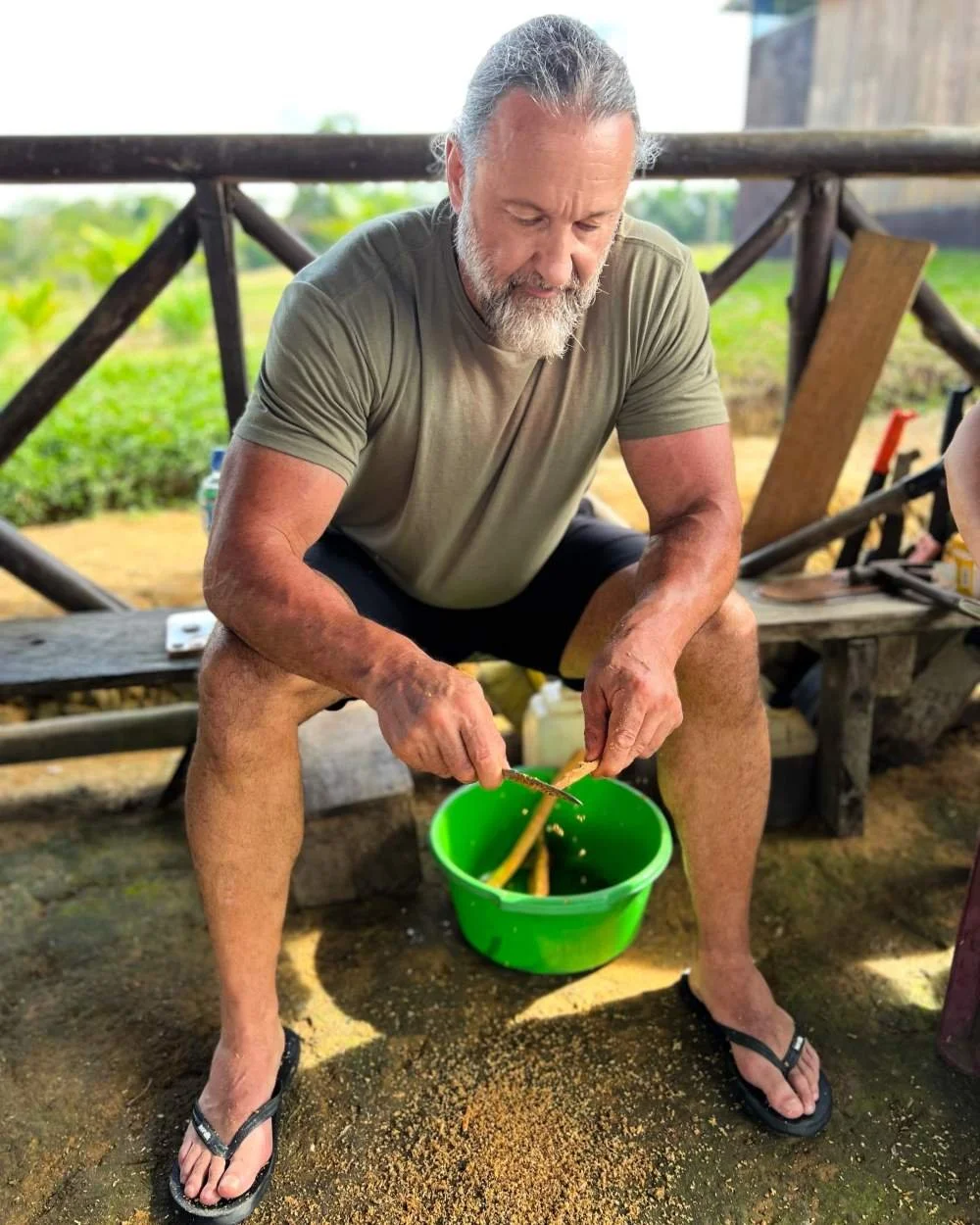 An ayahuasca retreat participant in a green t-shirt, black shorts, and flip-flops sits outdoors on a wooden bench, scraping uchu sanango roots into a green bucket at Casa del Maestro plant medicine center in Peru.