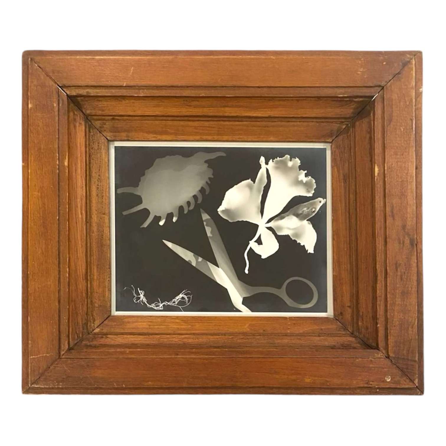 26-MAIN-photogram_harley.jpeg