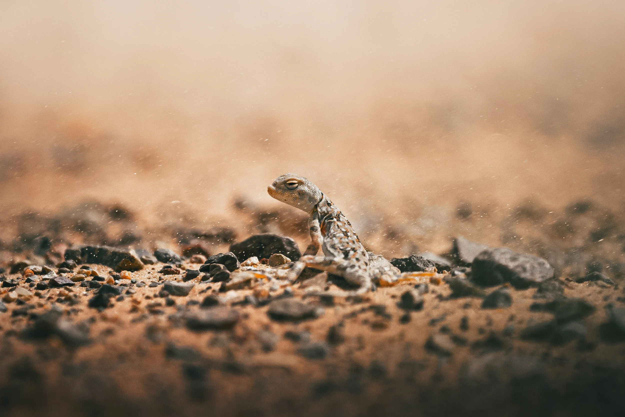 Die Ruhe im Sturm.JPG