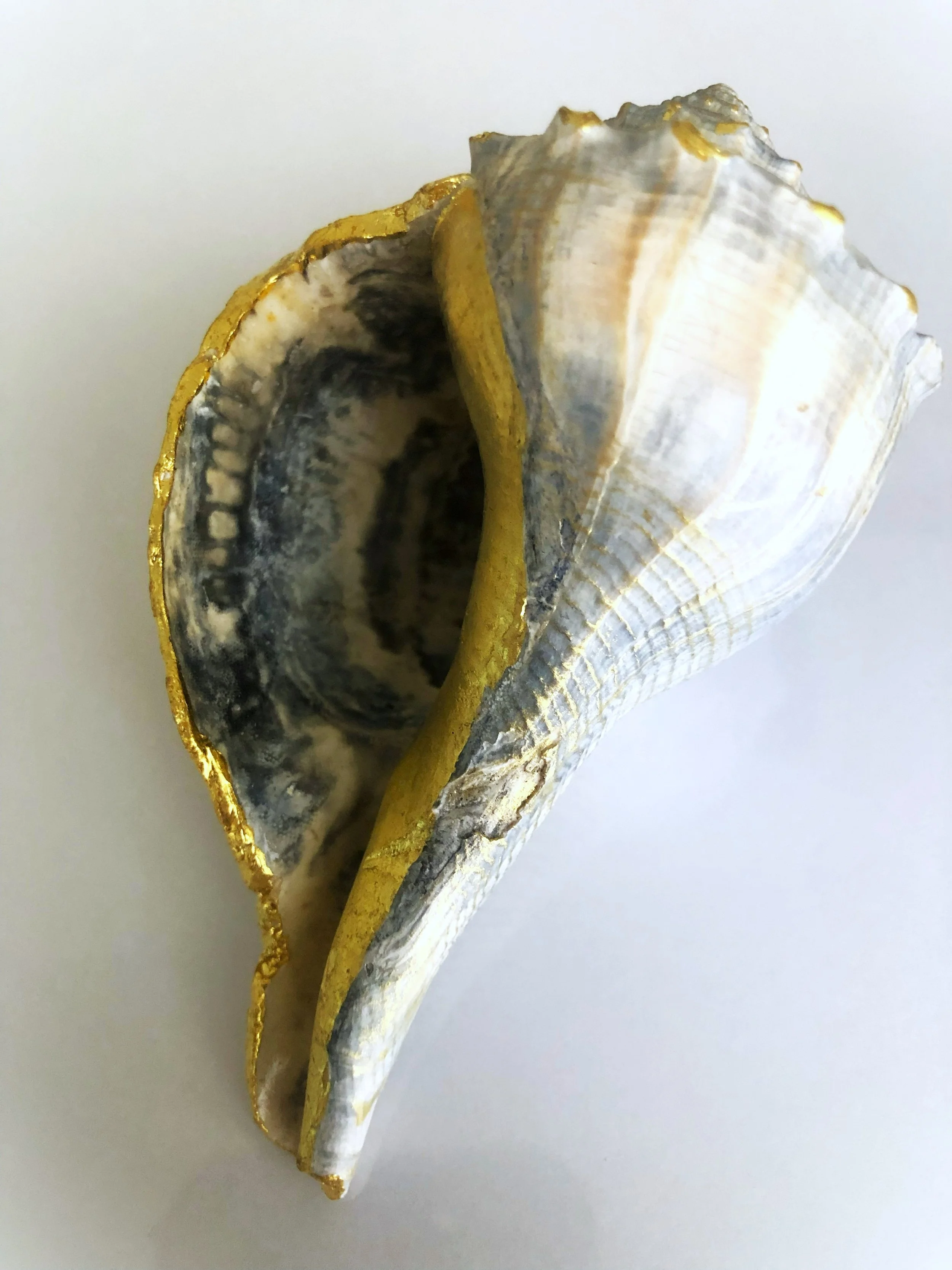 Intertidal Encounter 3.jpg