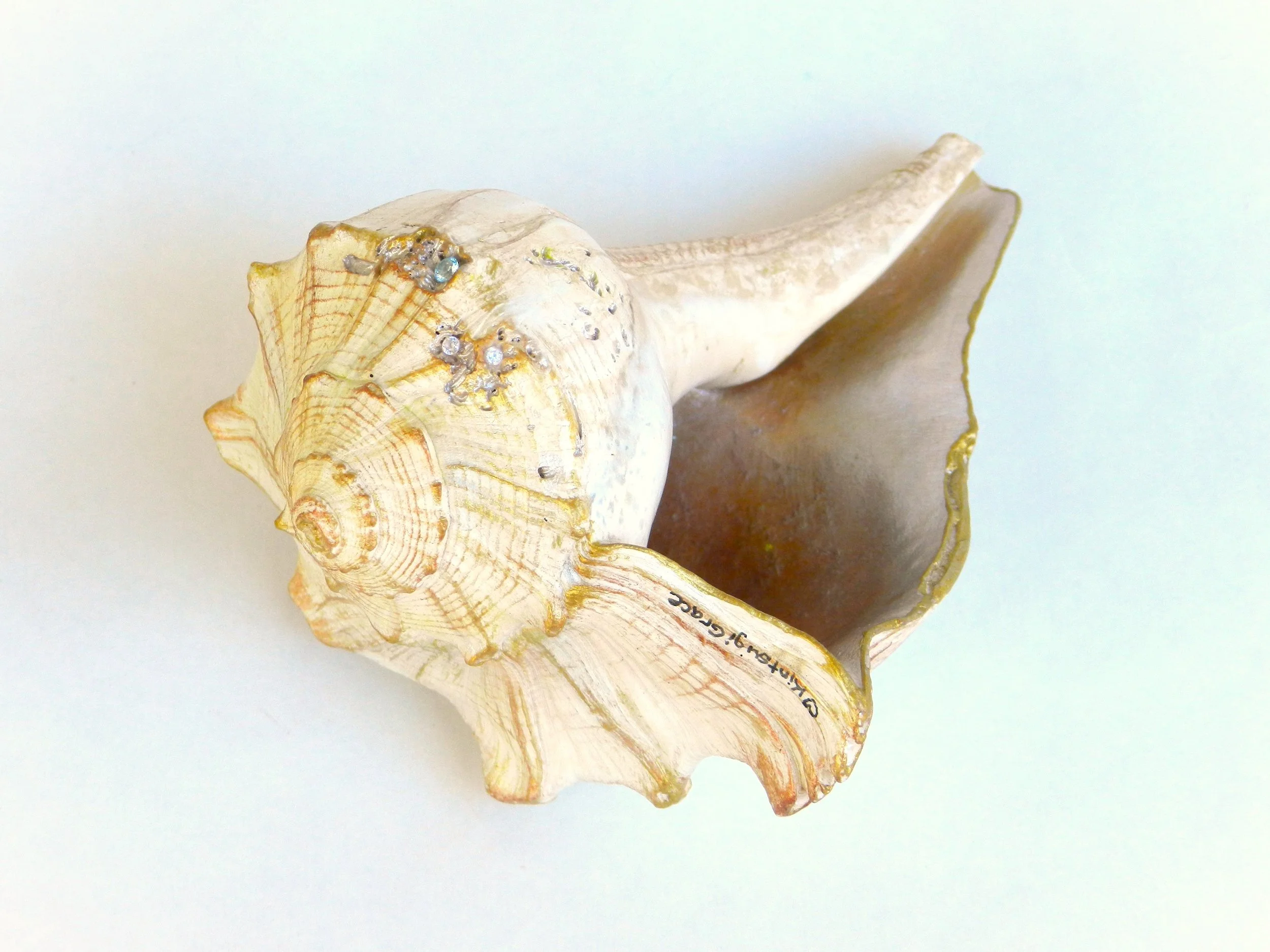 Barefoot Beach 6.JPG