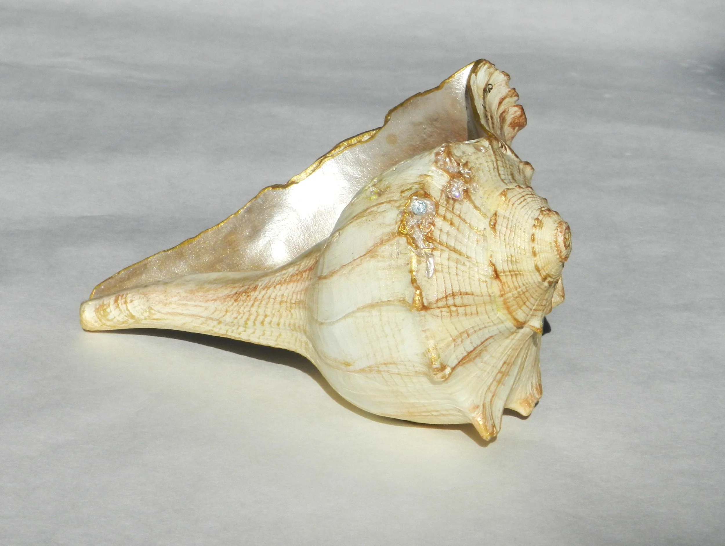 Barefoot Beach 18.JPG