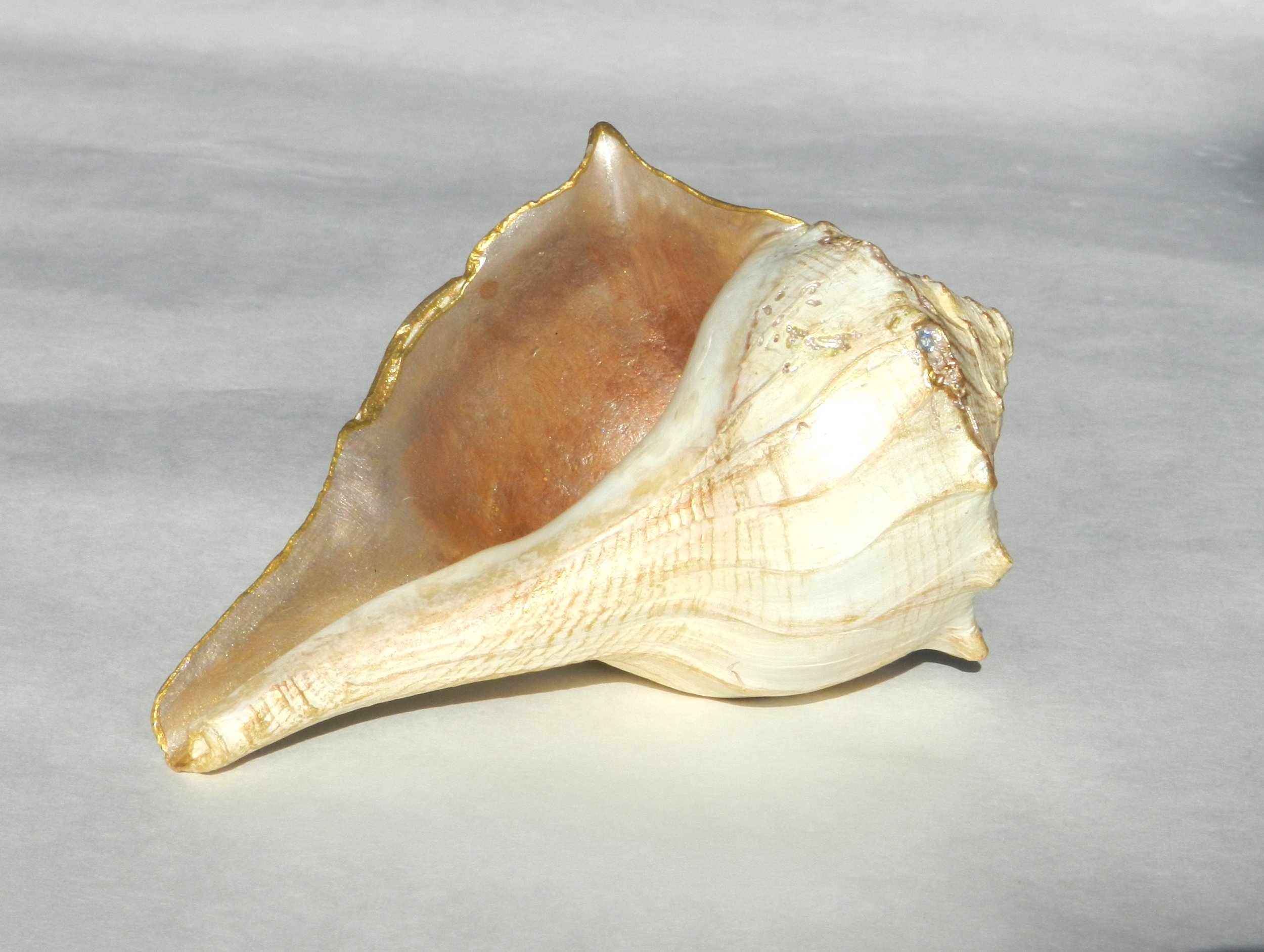 Barefoot Beach 17.JPG