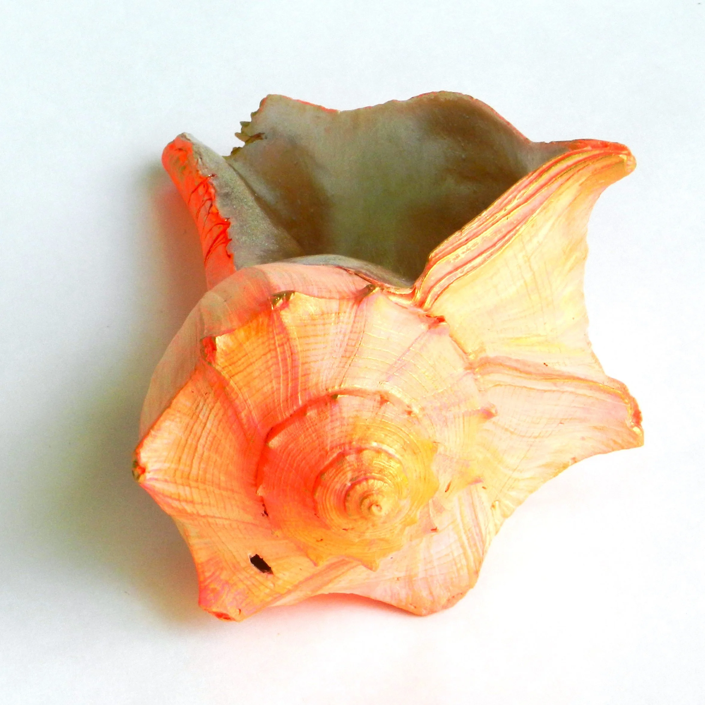 Summer Skies 1-KG.JPG