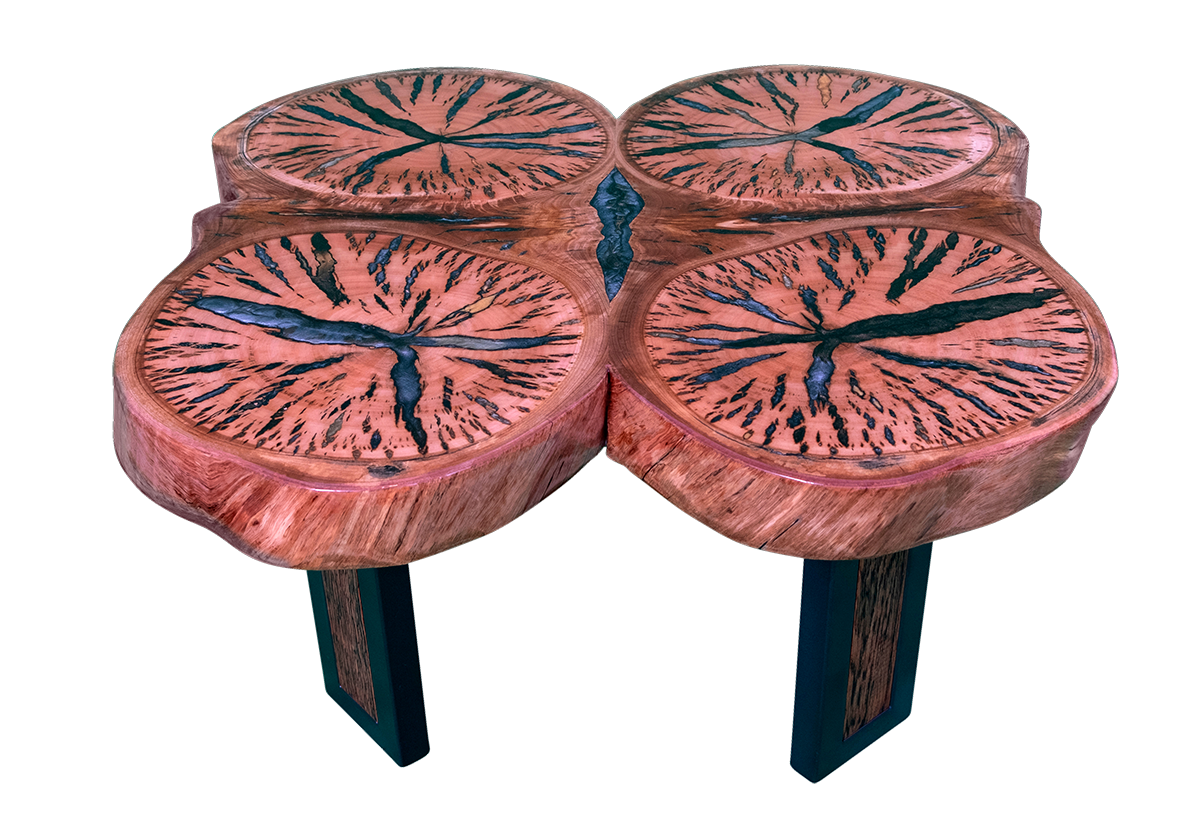 The crosscut eucalyptus sections glow within naturally rich wood and tinted resin — a bold front profile where colour, form, and contrast meet in playful harmony.
