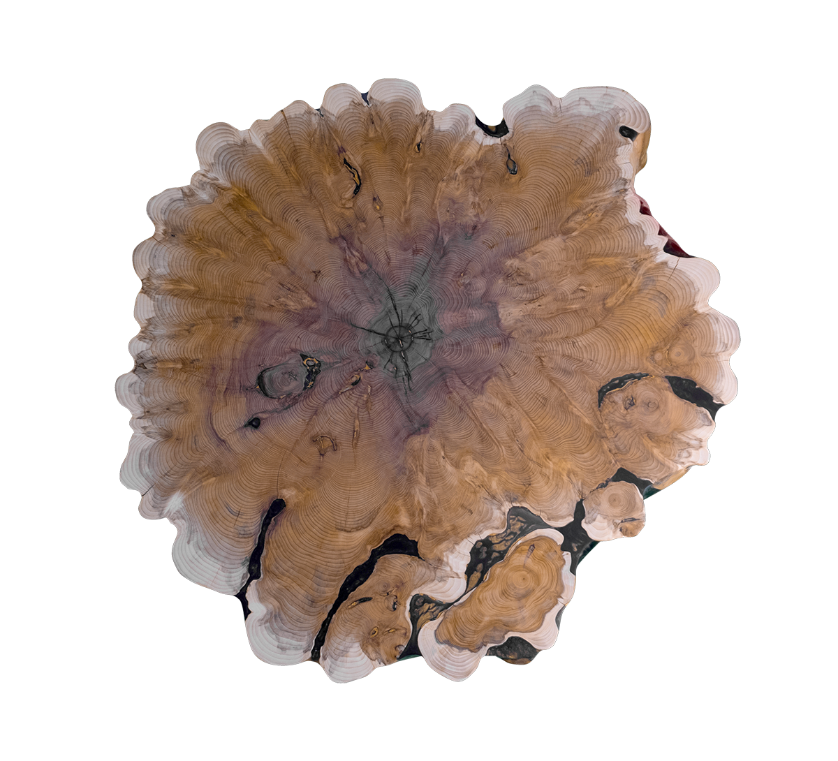 From above, the intricate grain and tonal variations of yew unfold like a natural painting with every contour revealing movement and depth within the wood.