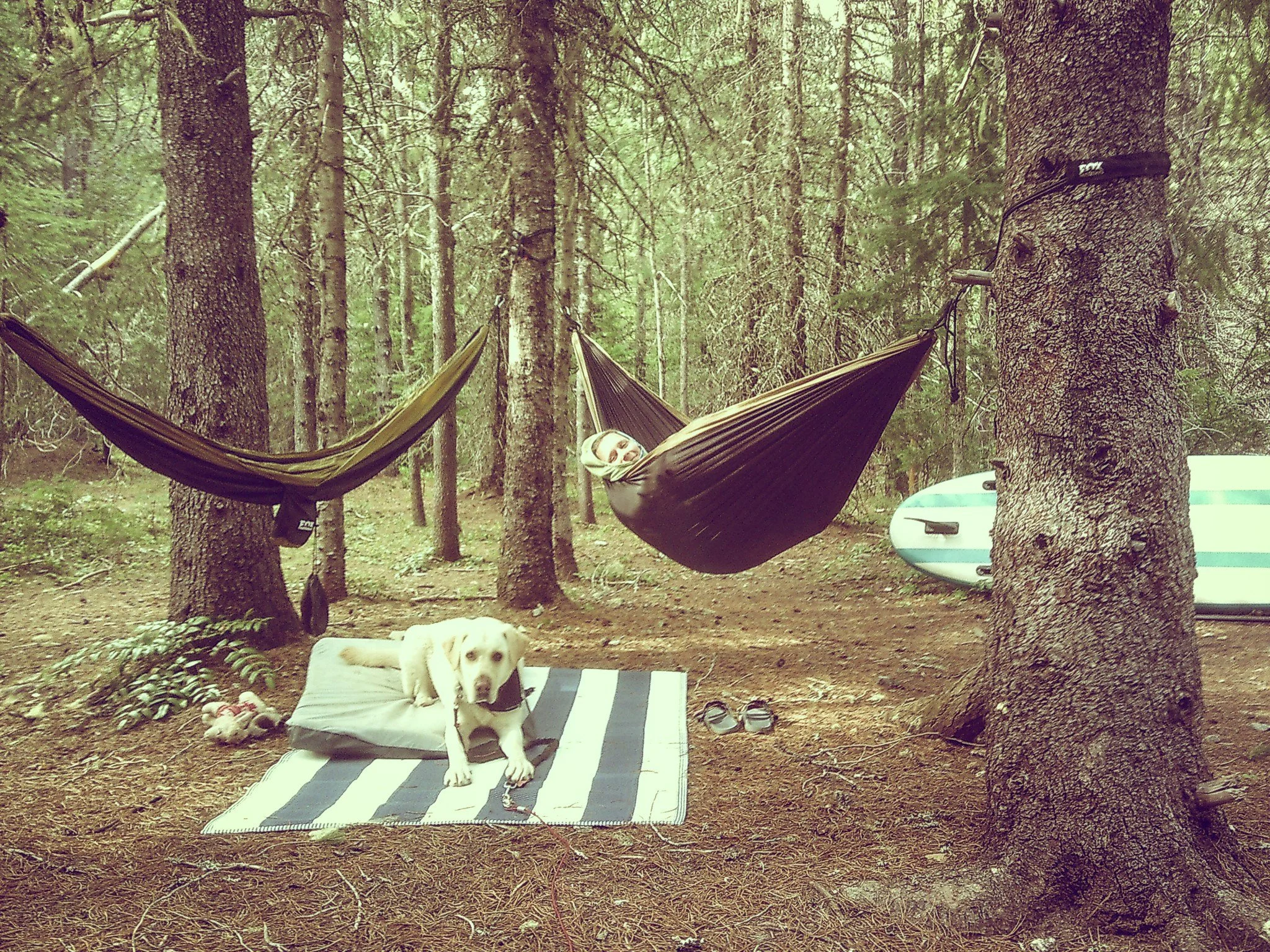 Happy National Relaxation Day ☀️

Adventure is awesome, but so is pressing pause. 🌲💆&zwj;♂️

Rest and recovery aren&rsquo;t just nice &mdash; they&rsquo;re what make you ready for your next big climb, paddle, peddle or trek. So today, trade your hi