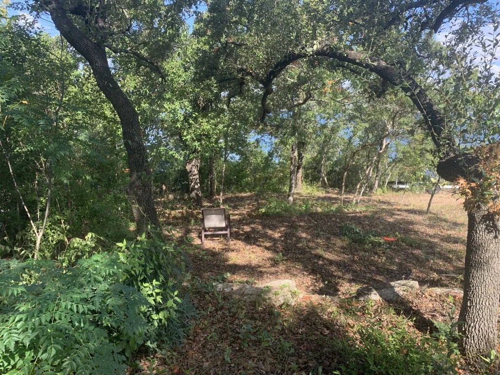 Shady trees and privacy