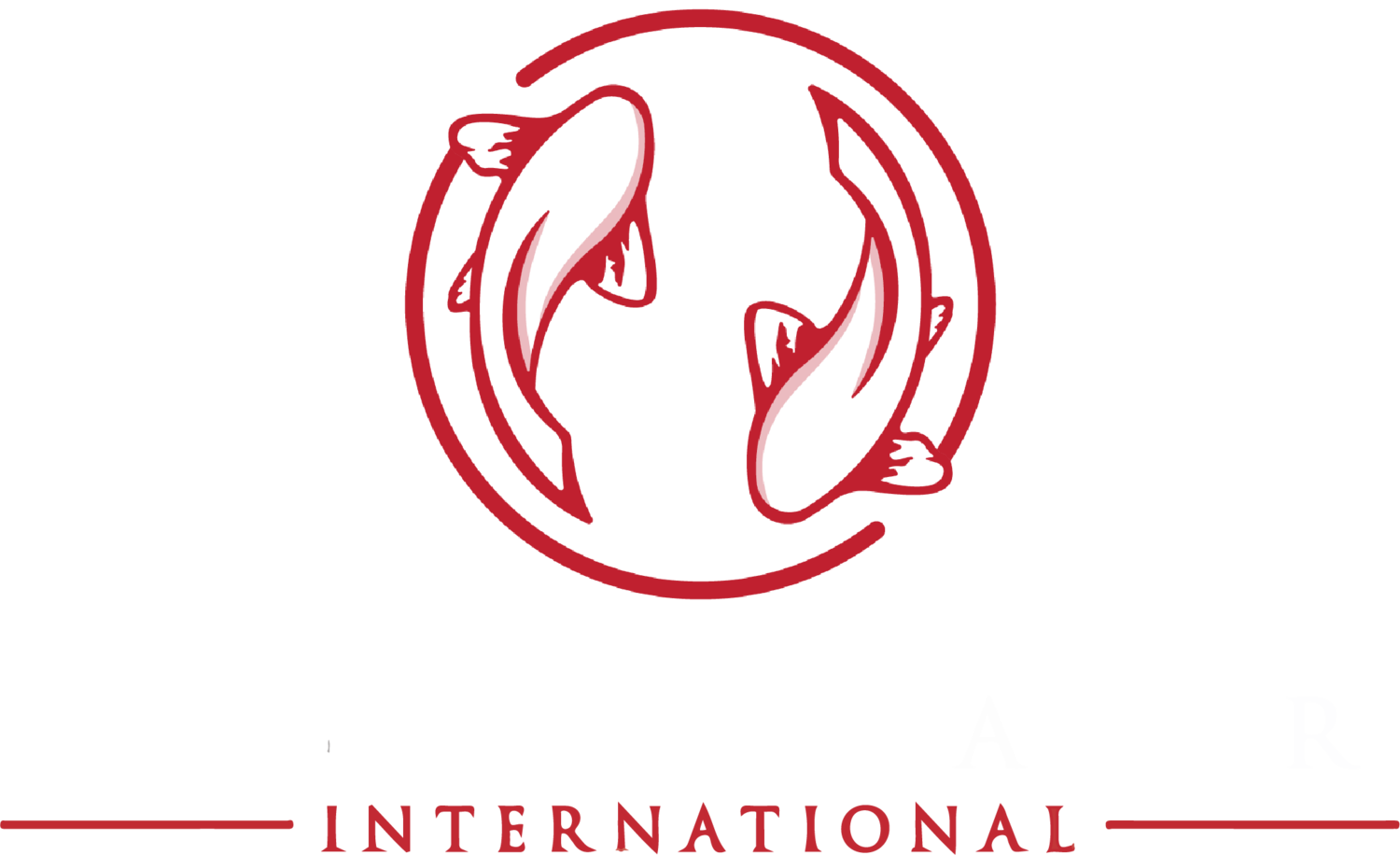 Koi Investment Partners