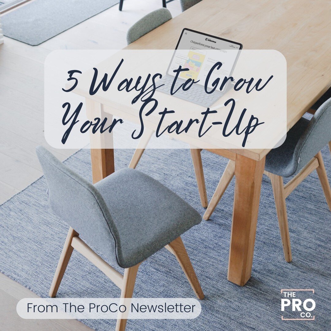 5 Things to Grow Your Start-Up Today&mdash;now live on The Productive Co. Newsletter and Blog! To read the full deep dive, click the 🔗 in our bio.

#TheProductiveCo #ProCo #virtualassistant #virtualassistantservices #va #smallbusiness #entrepreneur 