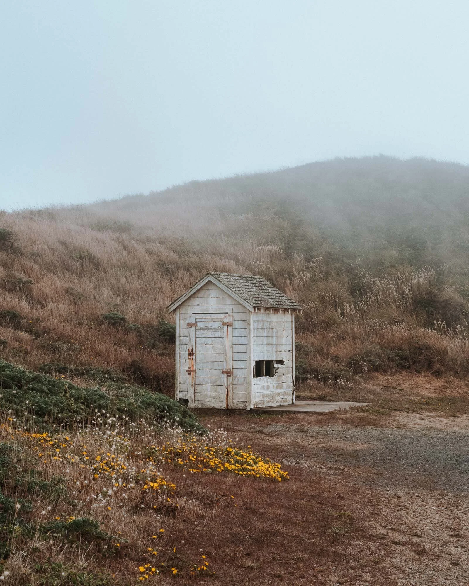 Nature-6.jpg